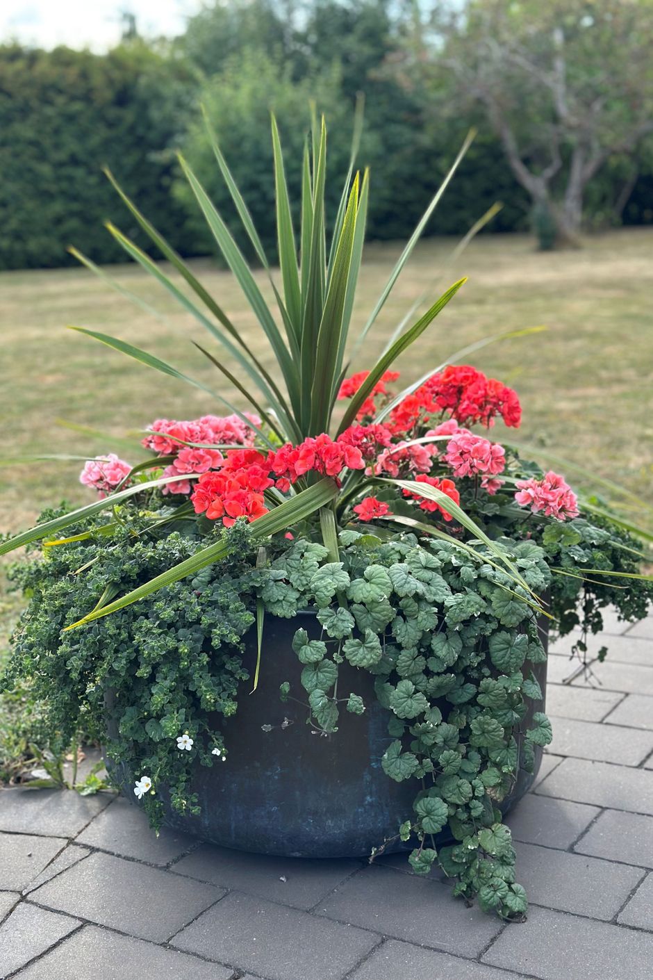 Detaljbild trädgård