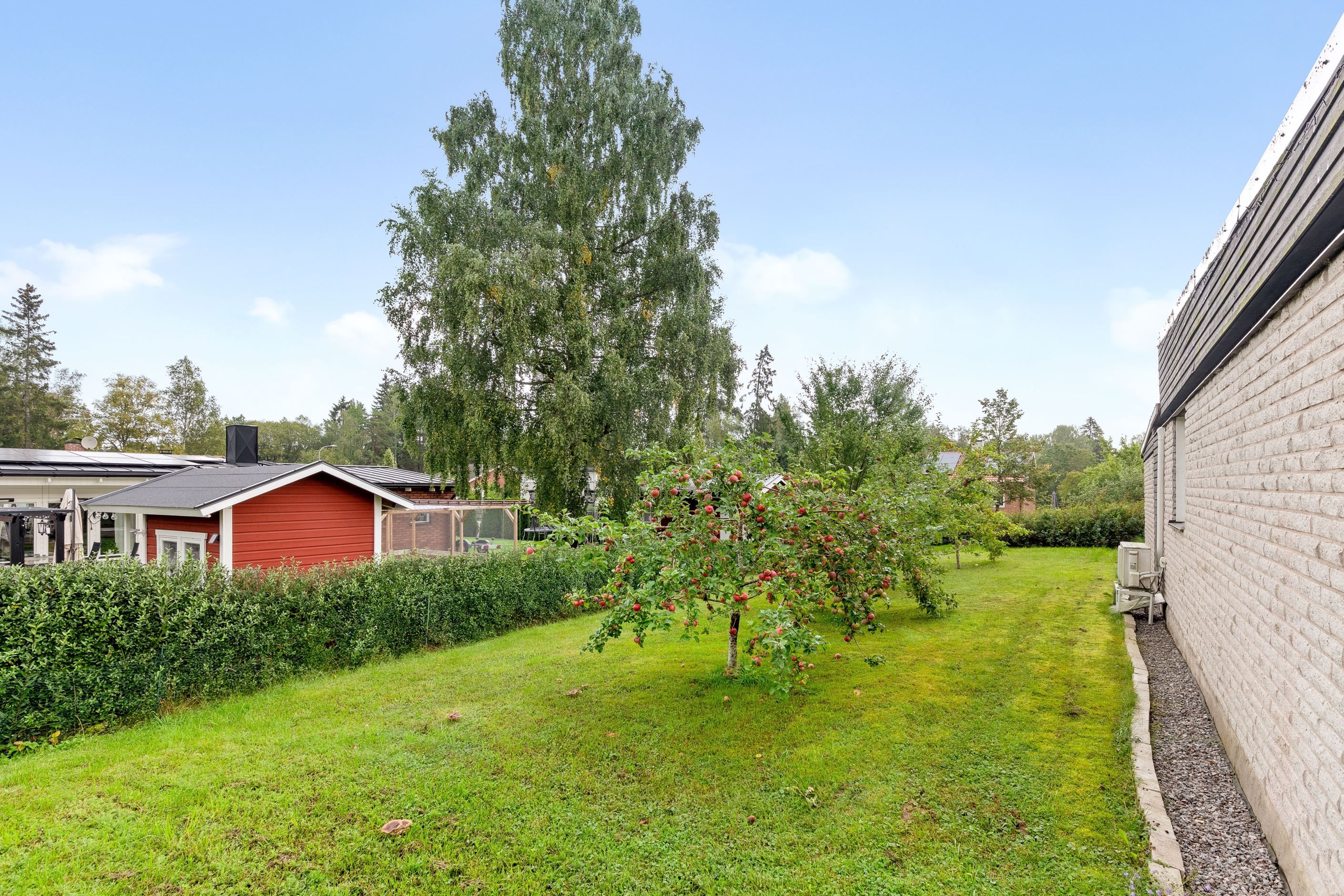 Trädgård