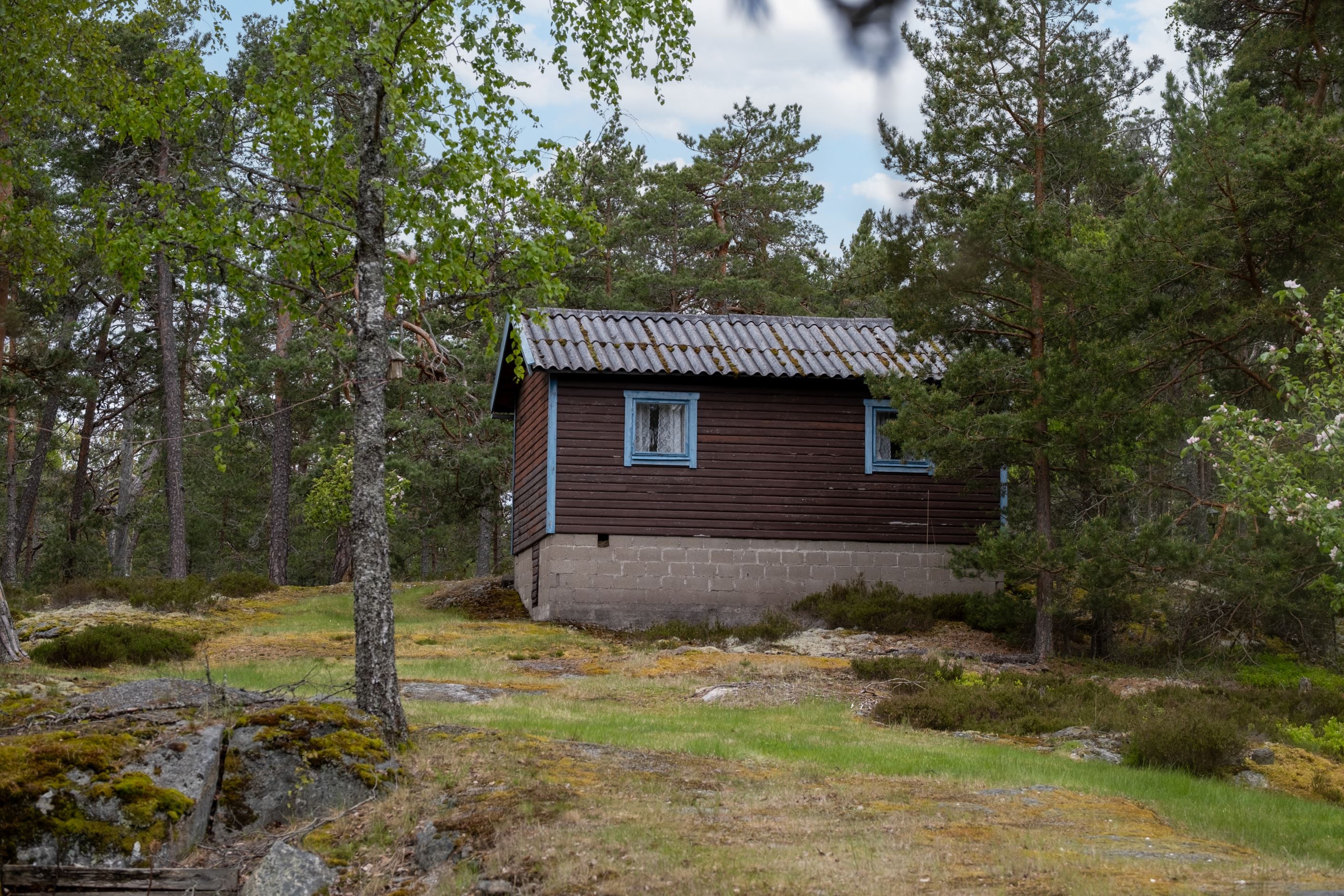 Exteriör