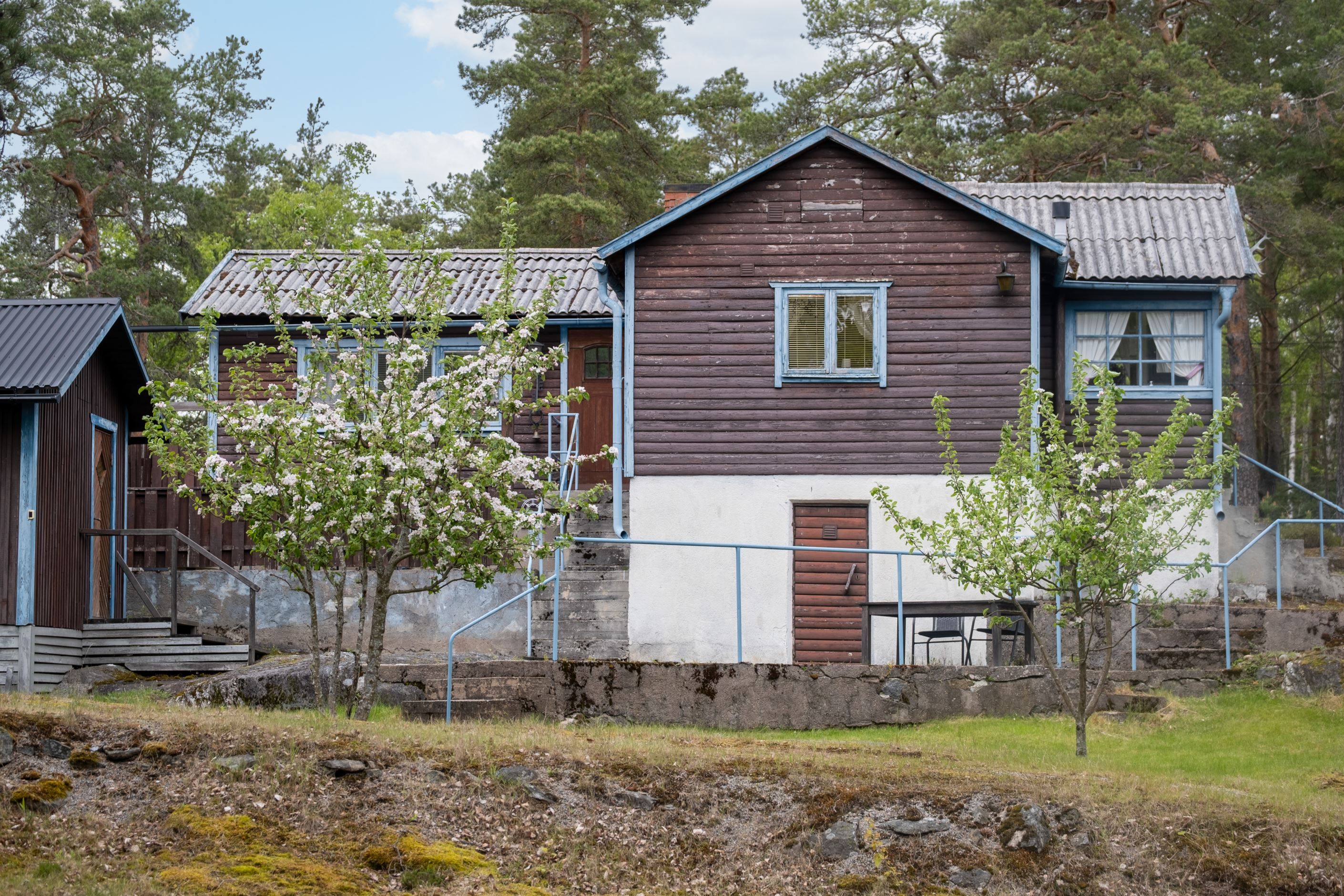 Exteriör