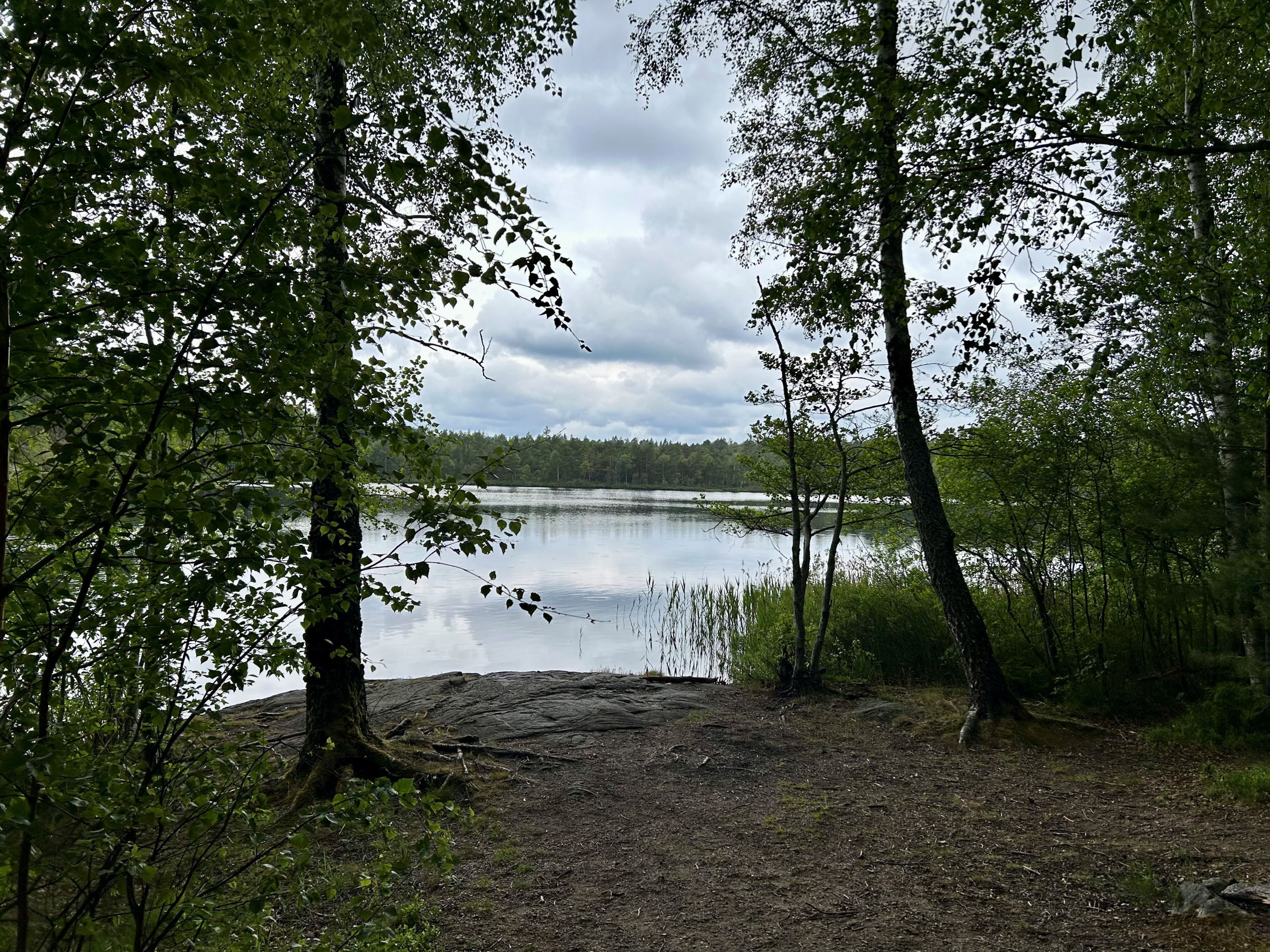 Underbara omgivningar
