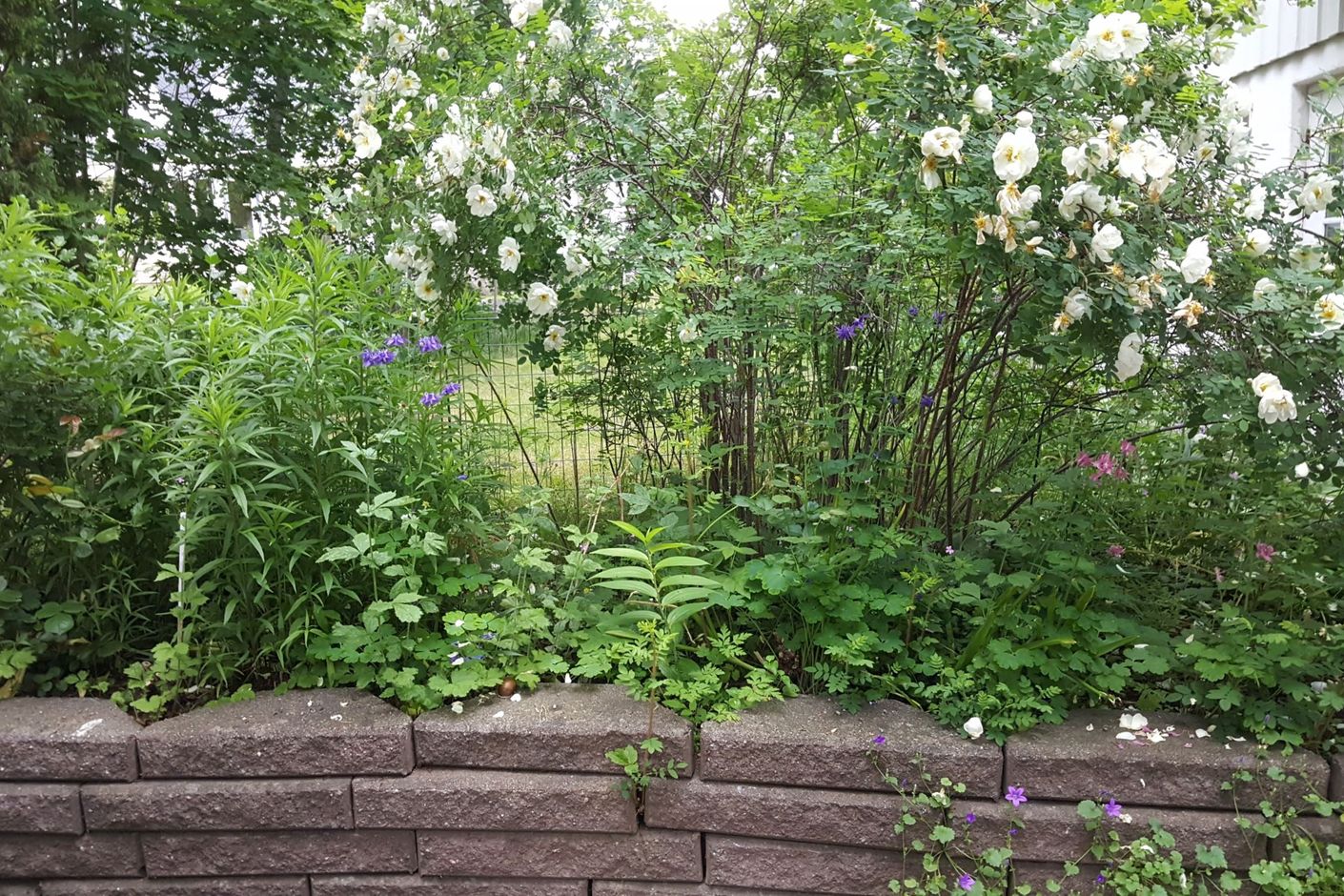 Säljarens bild