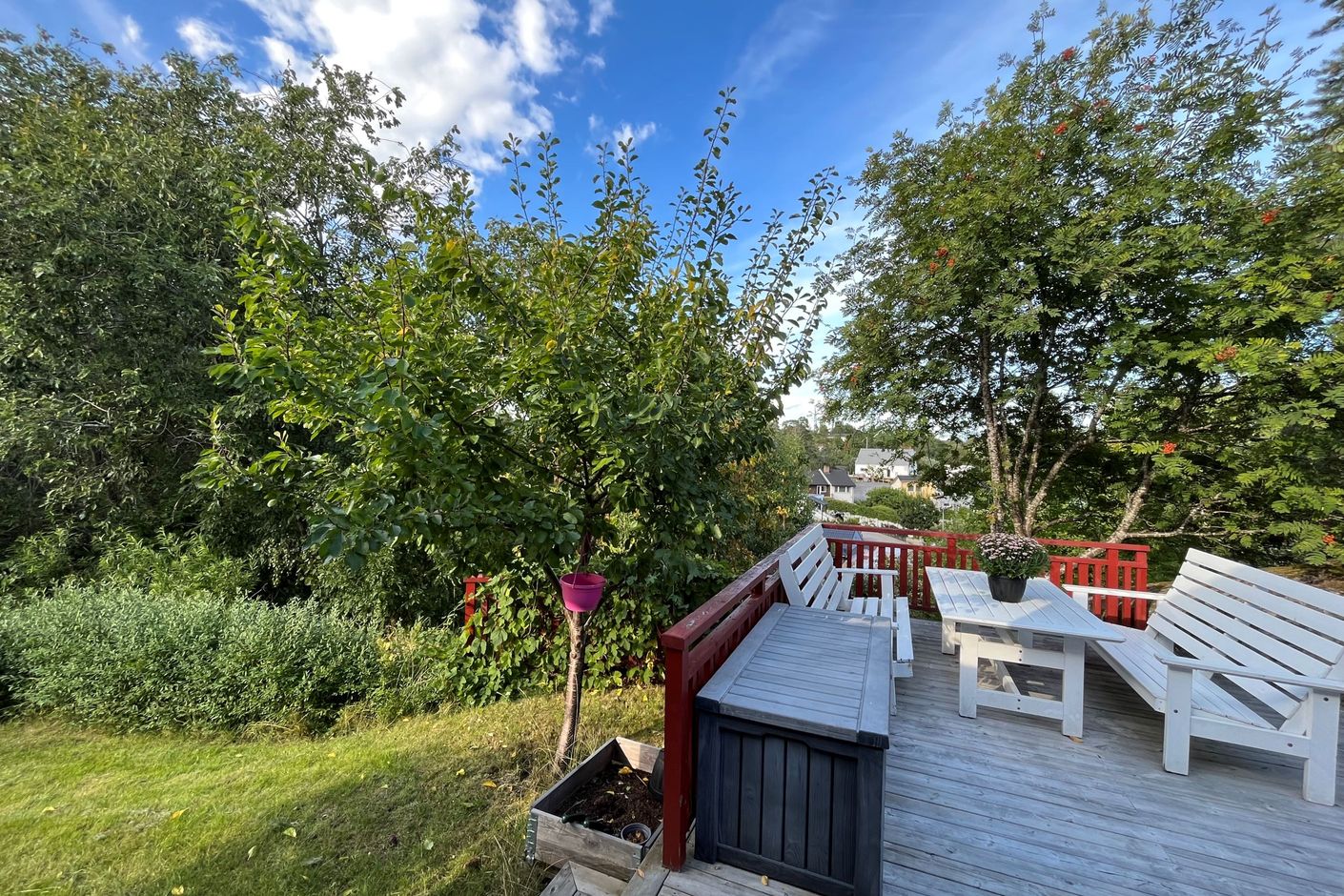 Säljaren sommarbild