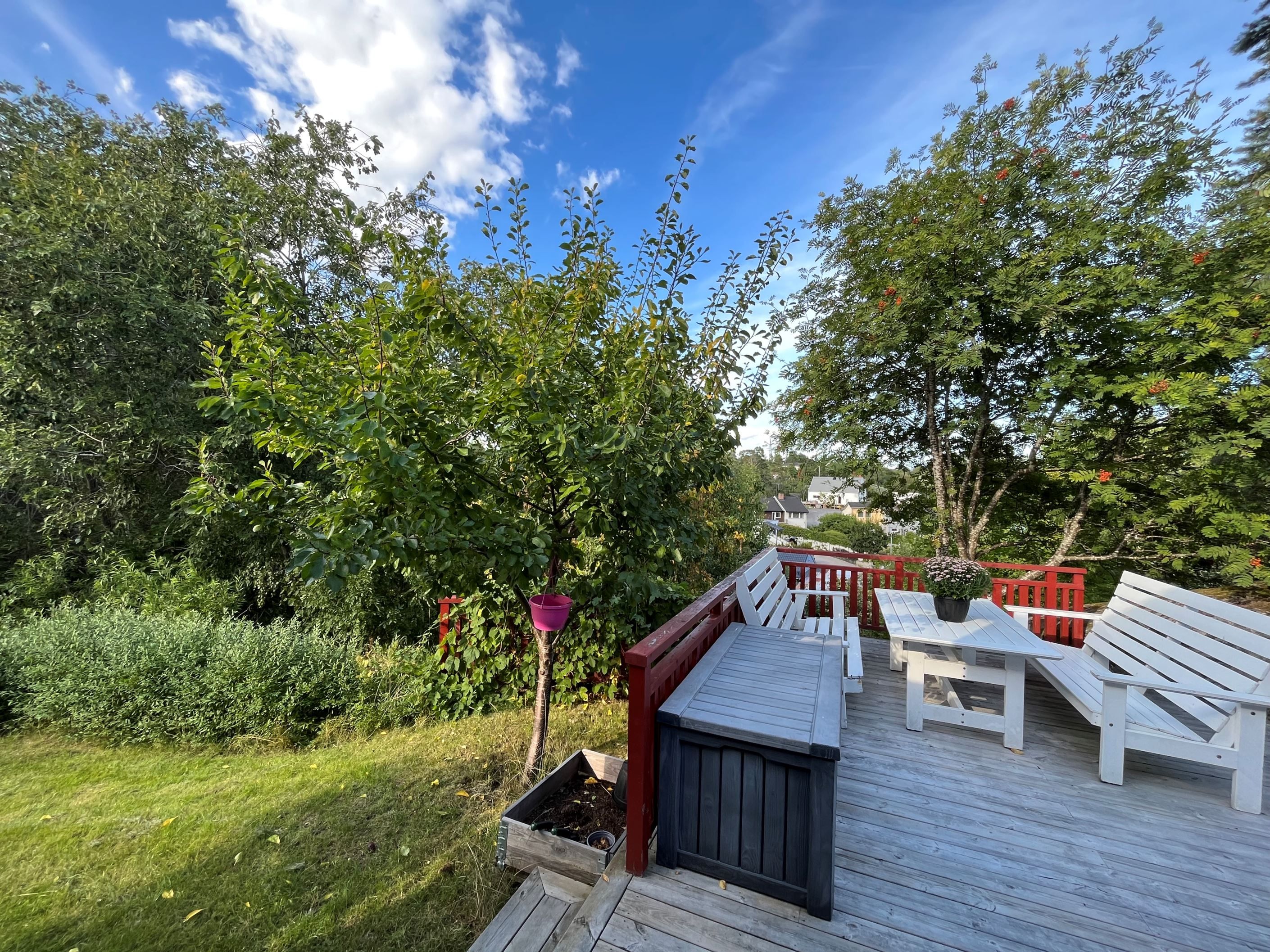 Säljaren sommarbild