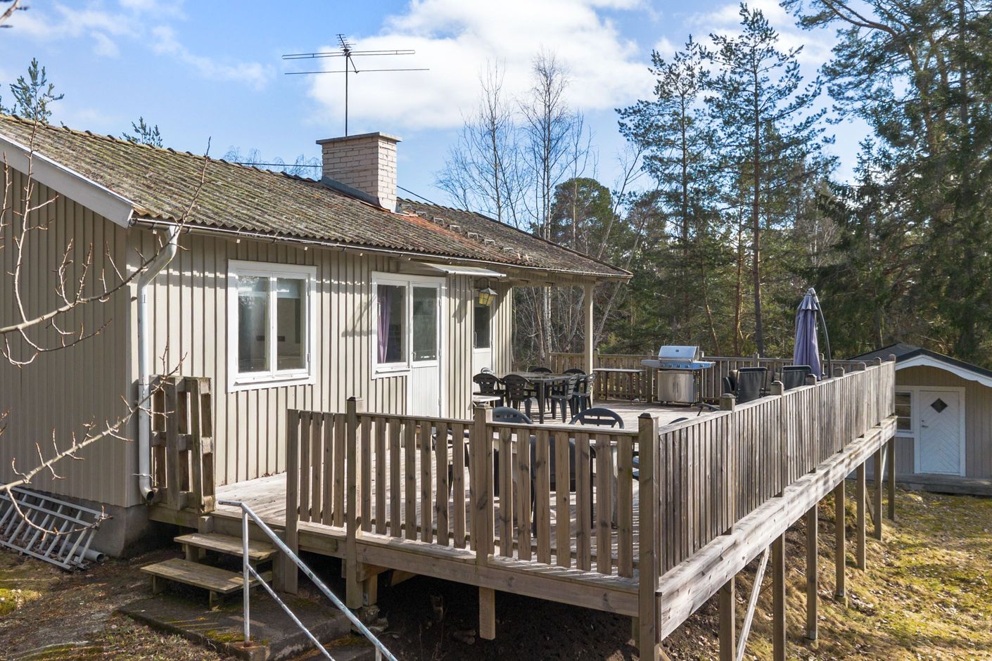 Exteriör