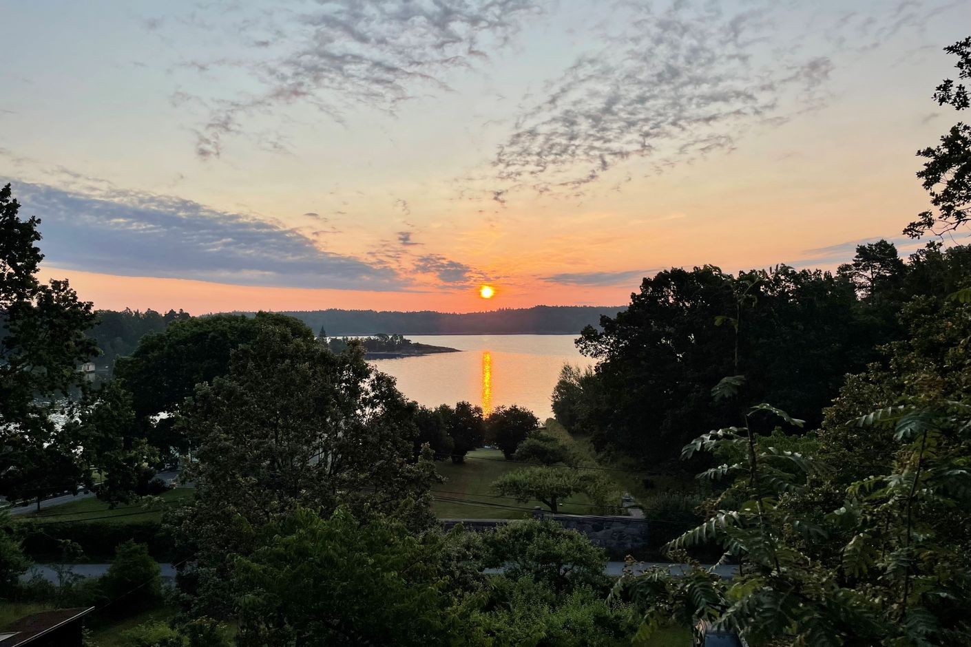 Säljarens bild