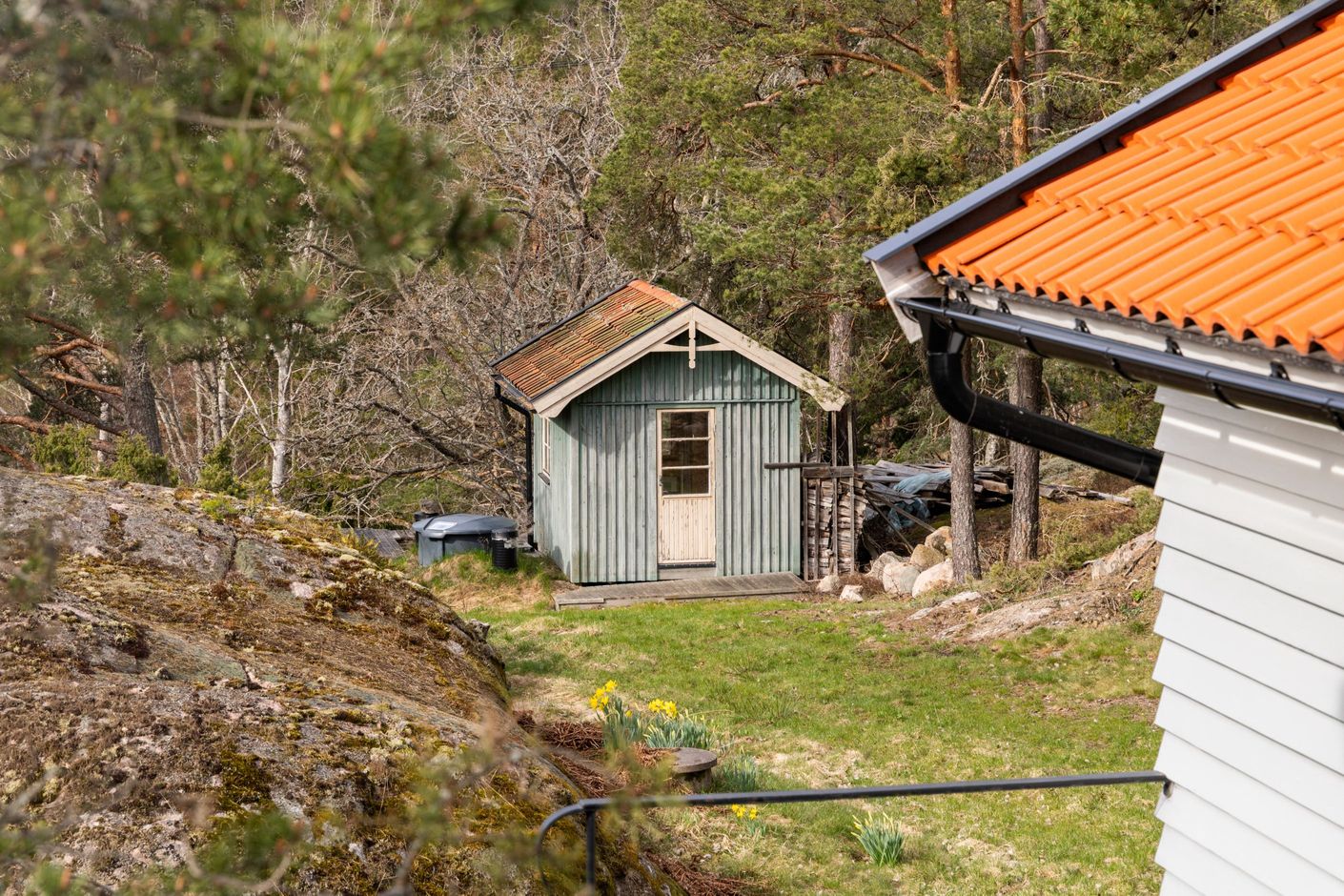 Exteriör