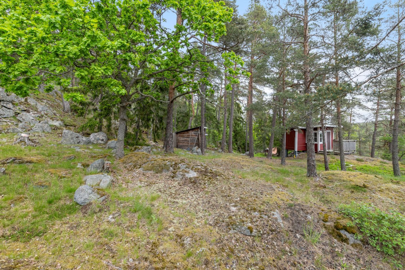 Exteriör