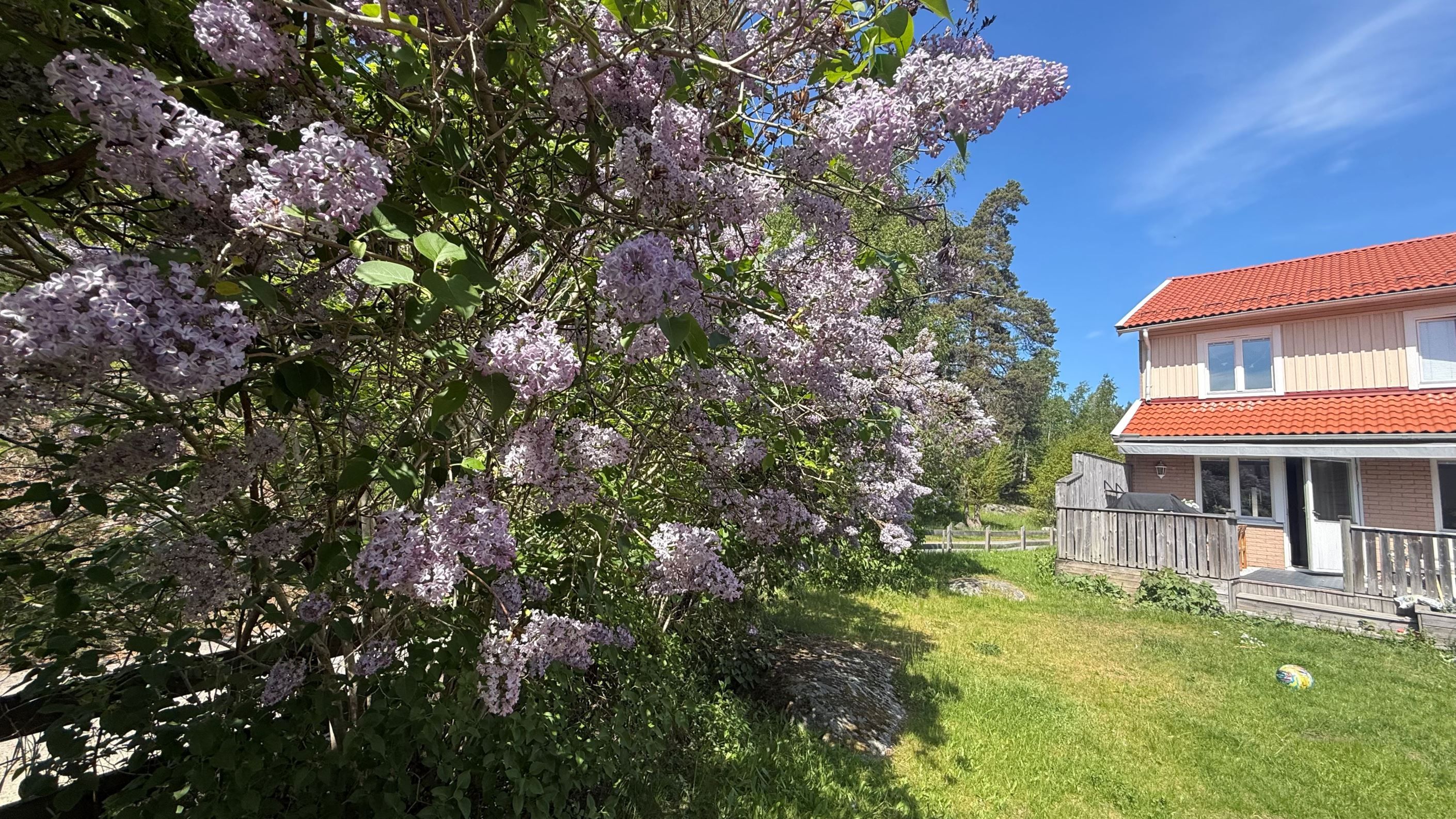 Säljarens bild