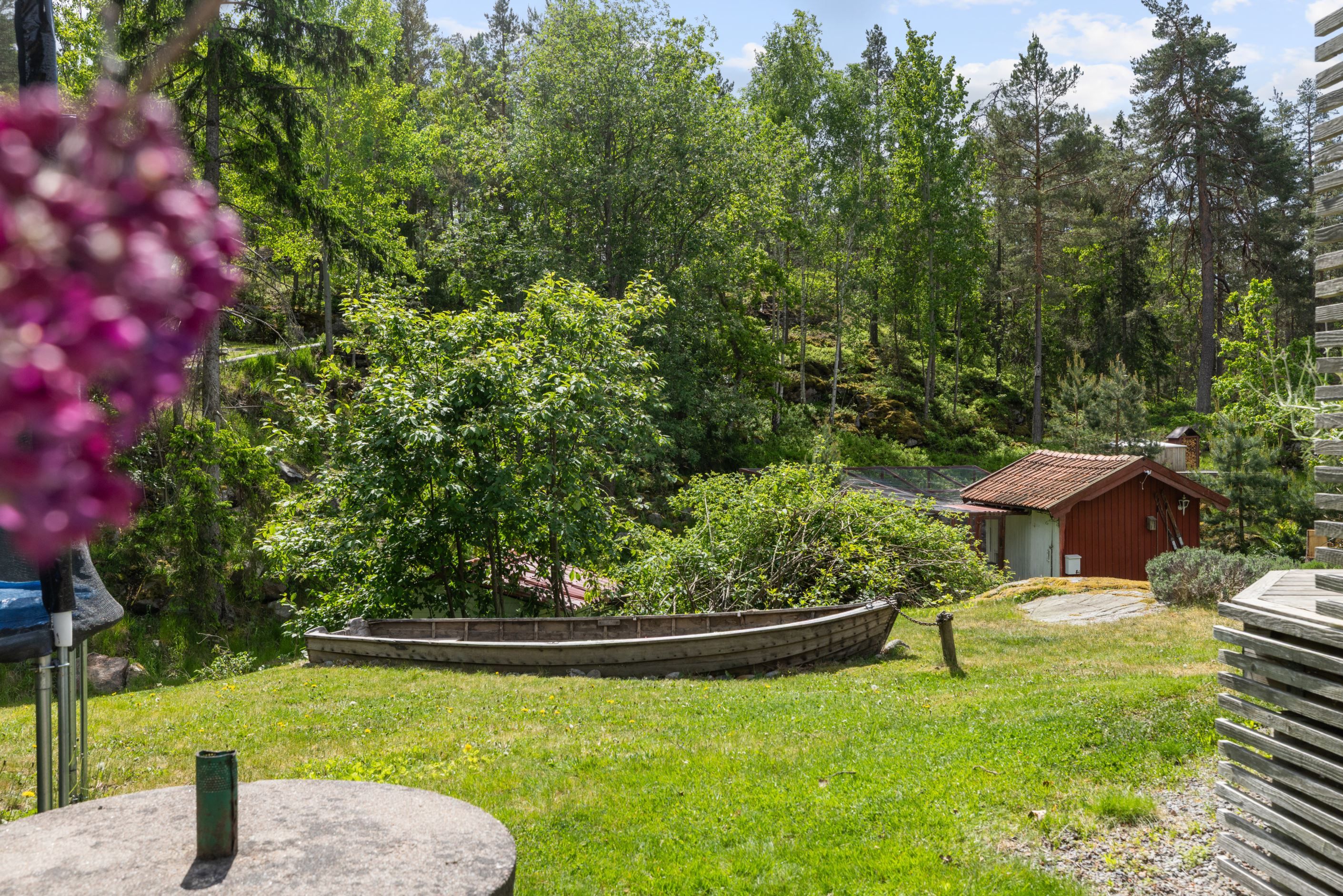 Trädgård