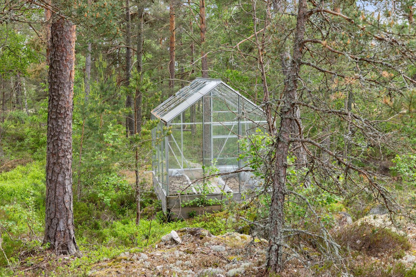 Växthus