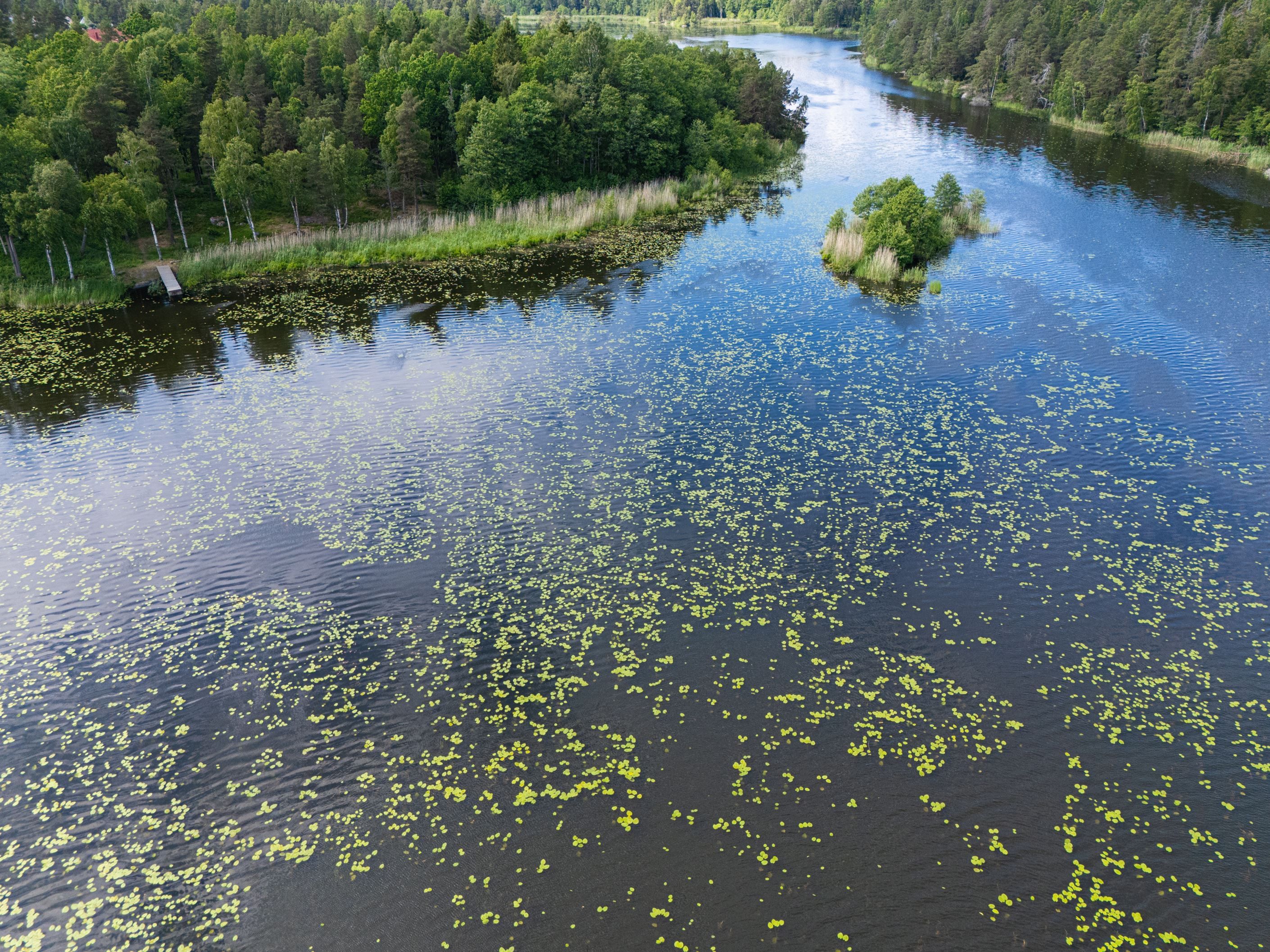 Öringesjön