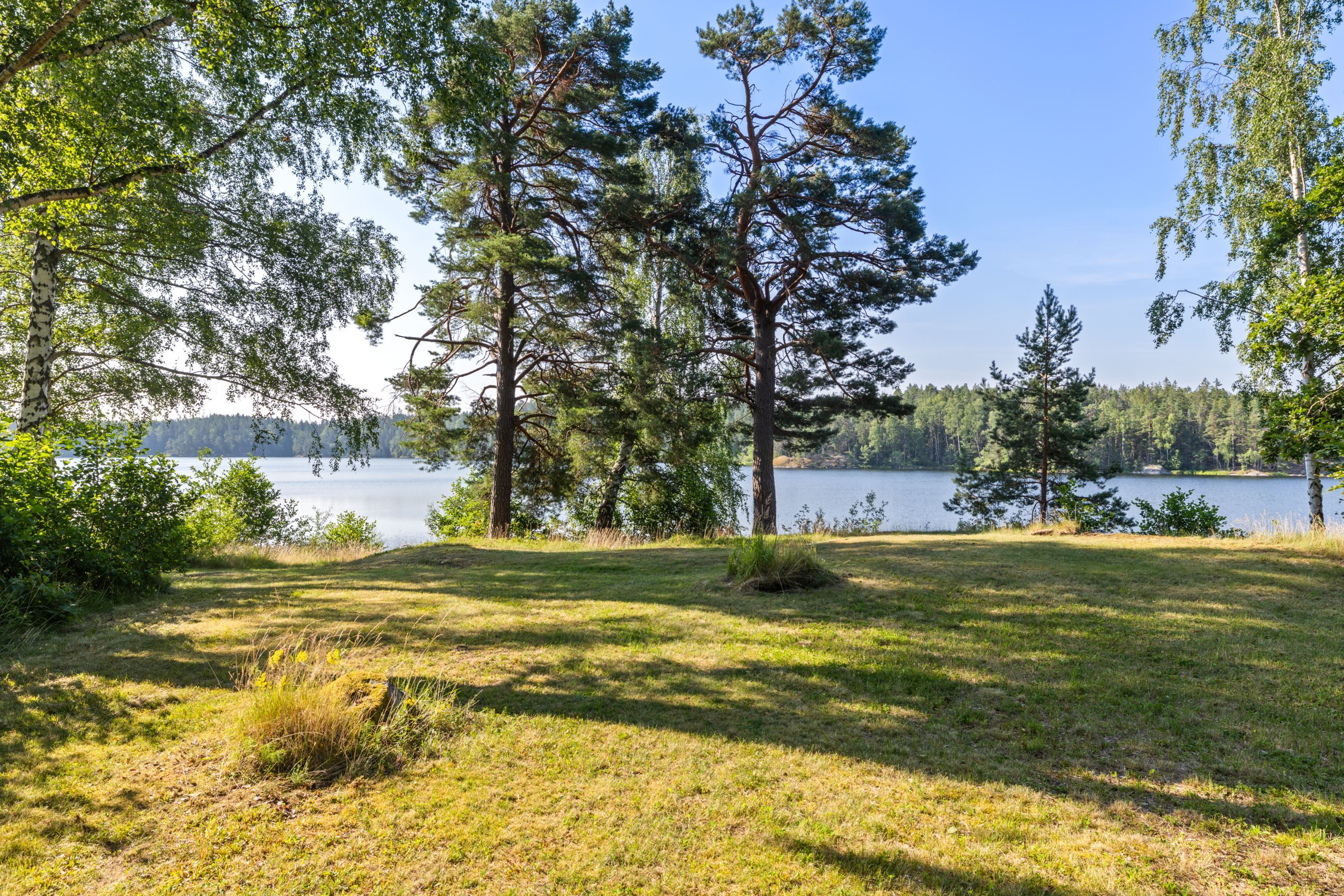 Allmänning