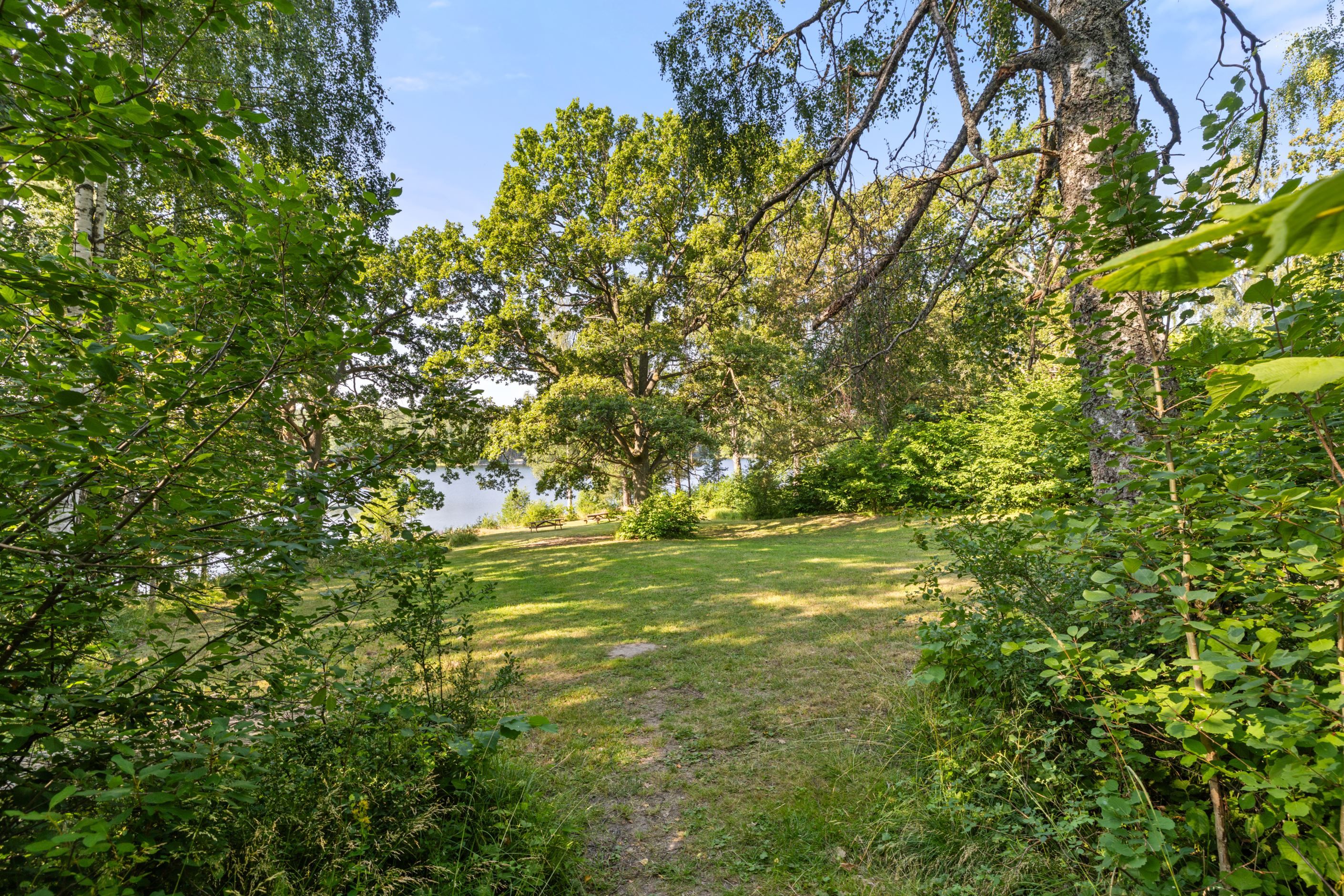 Allmänning