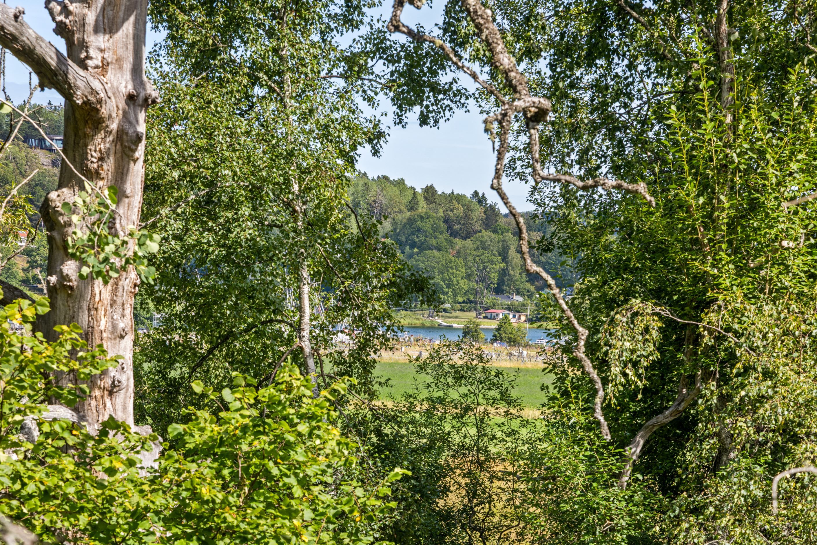 Utsikt