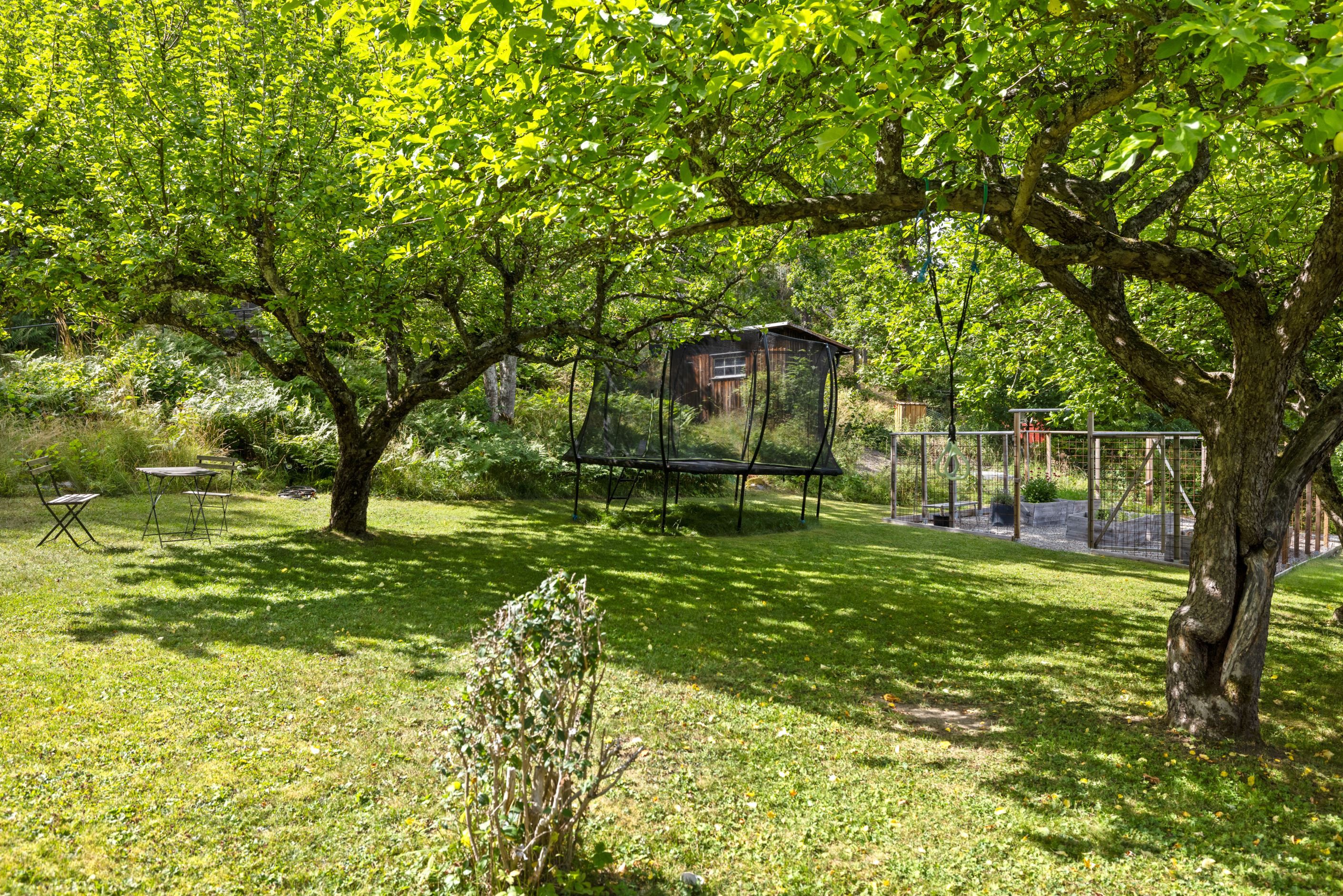 Trädgård