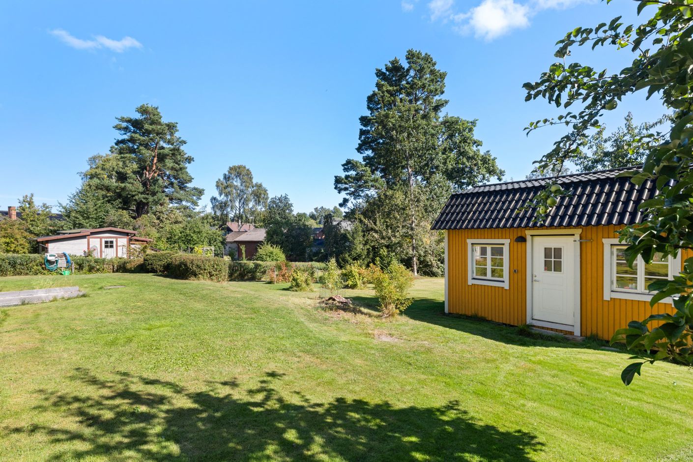 Trädgård