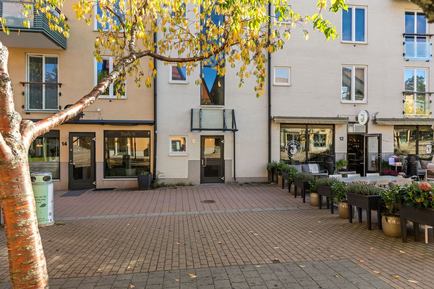 Exteriör