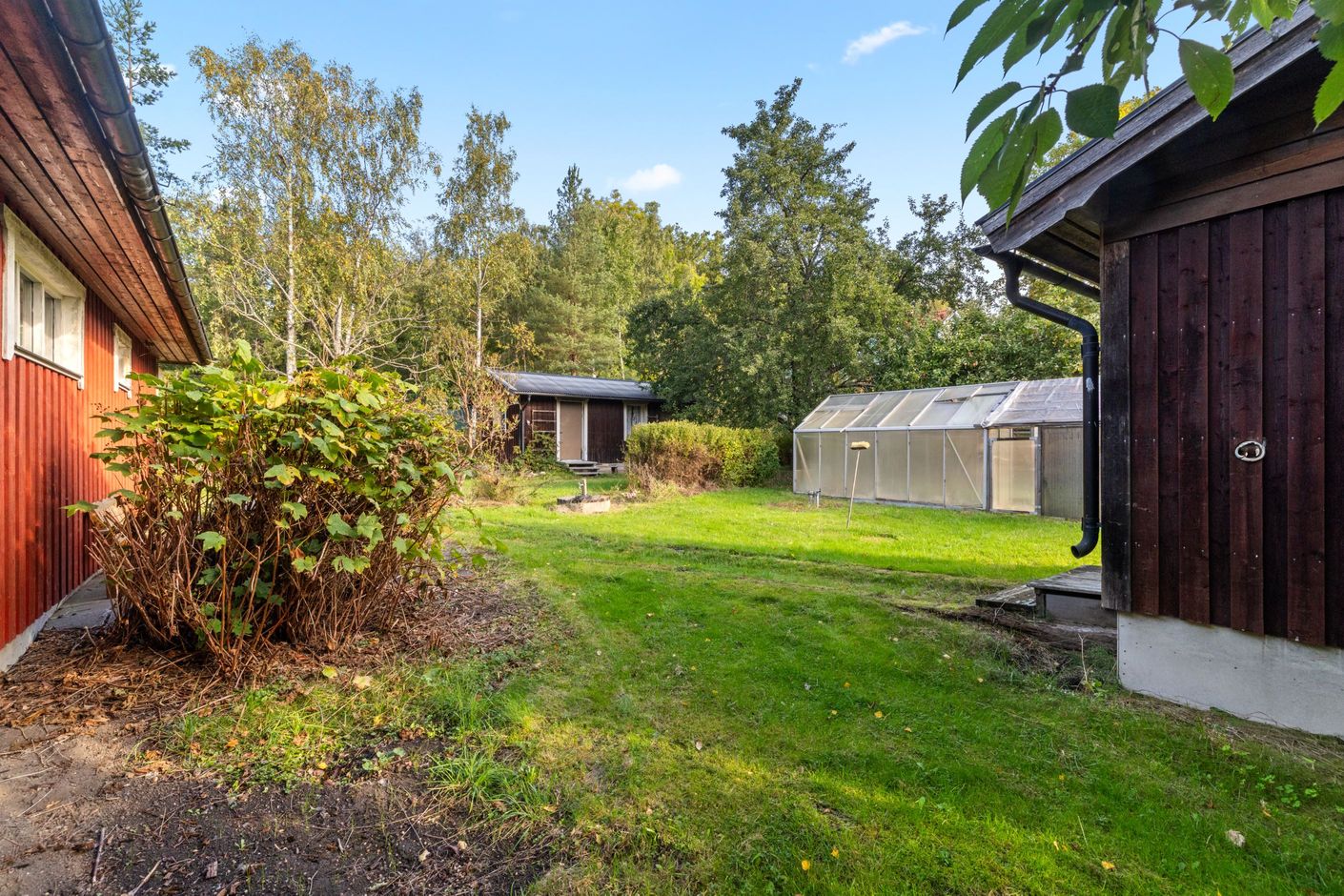 Trädgård