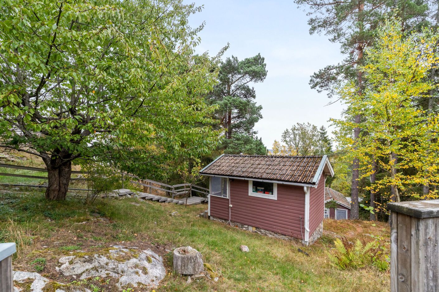 Exteriör