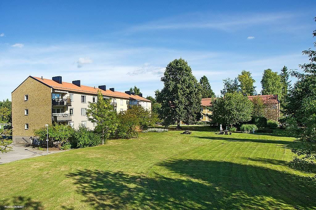 Föreningens grönskande parkområde i sommarskrud
