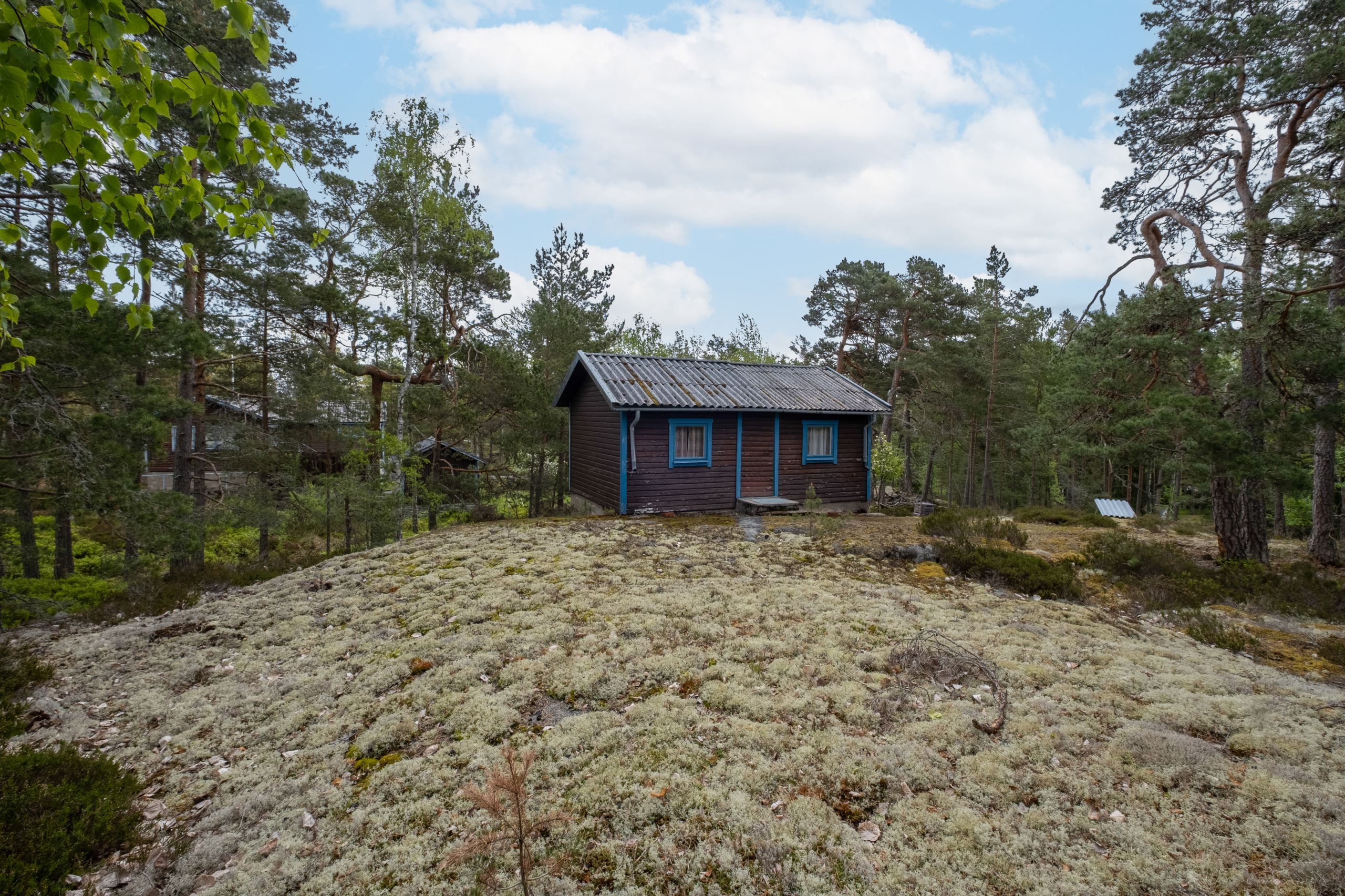 Exteriör