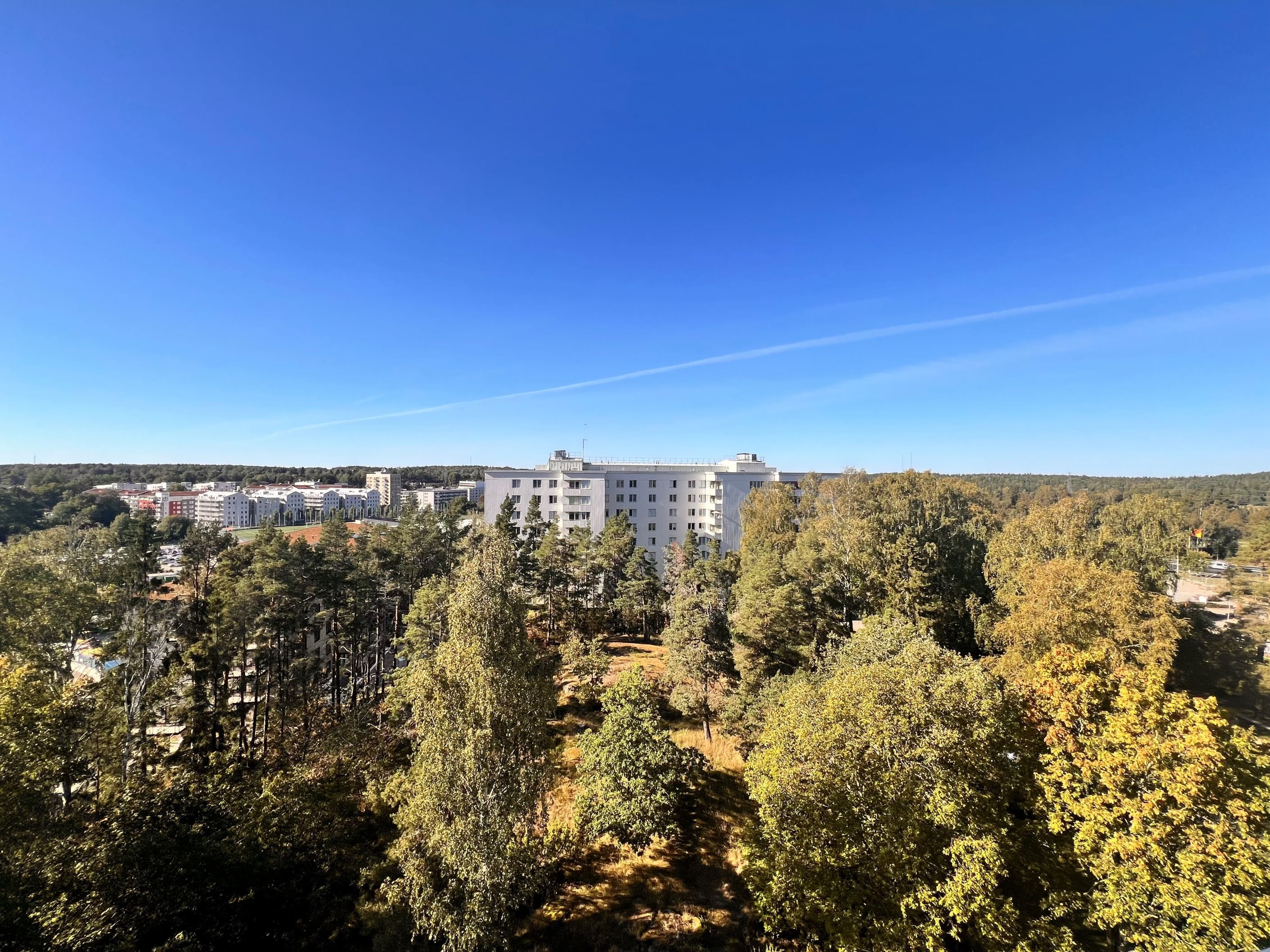 Säljaren sommarbild, utsikt