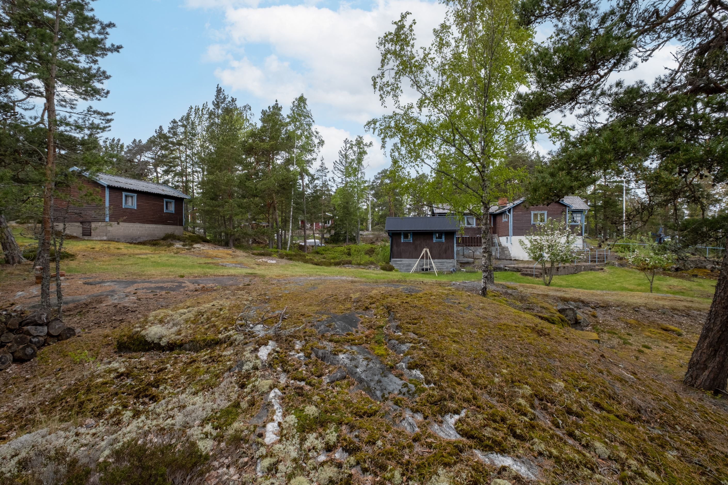 Exteriör