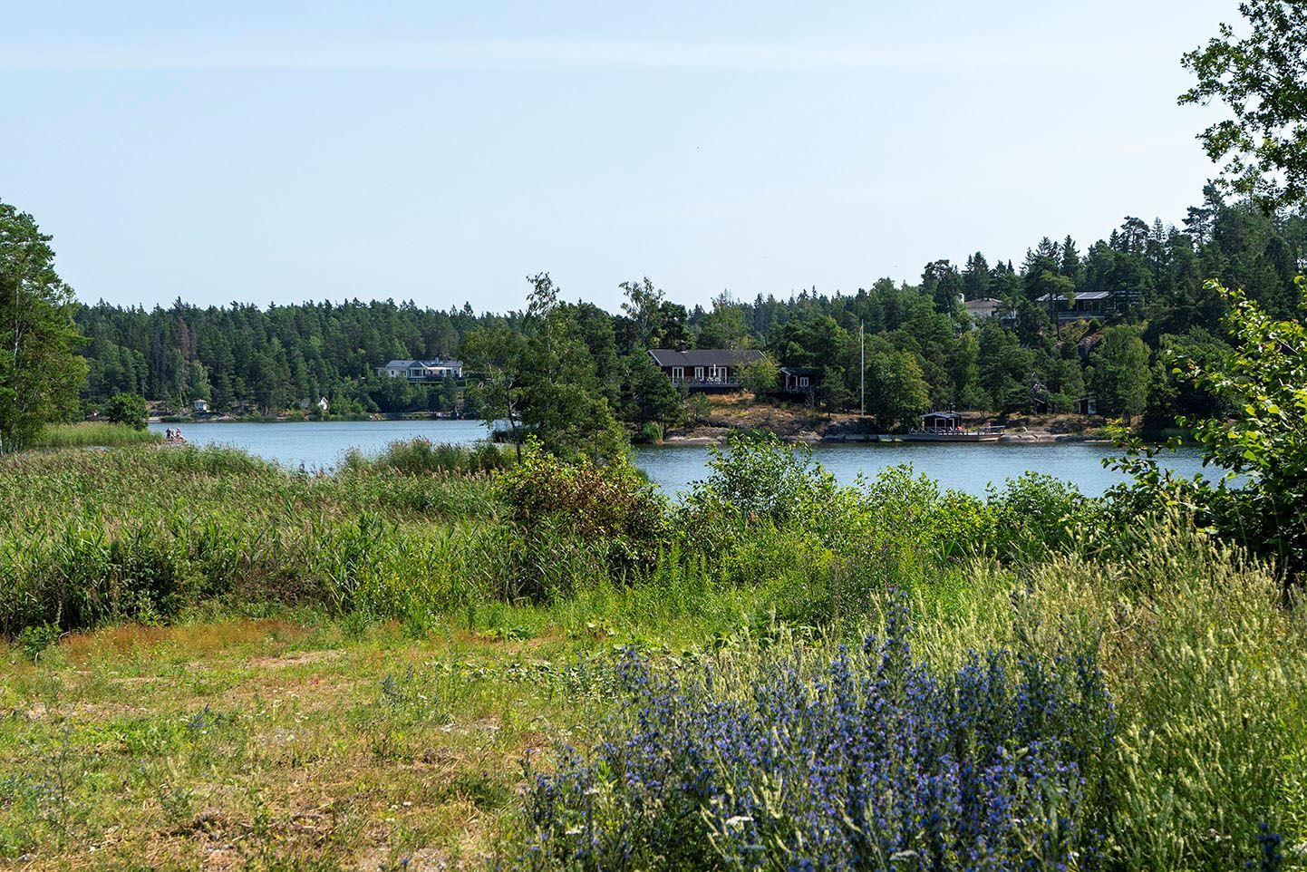 Långsjön