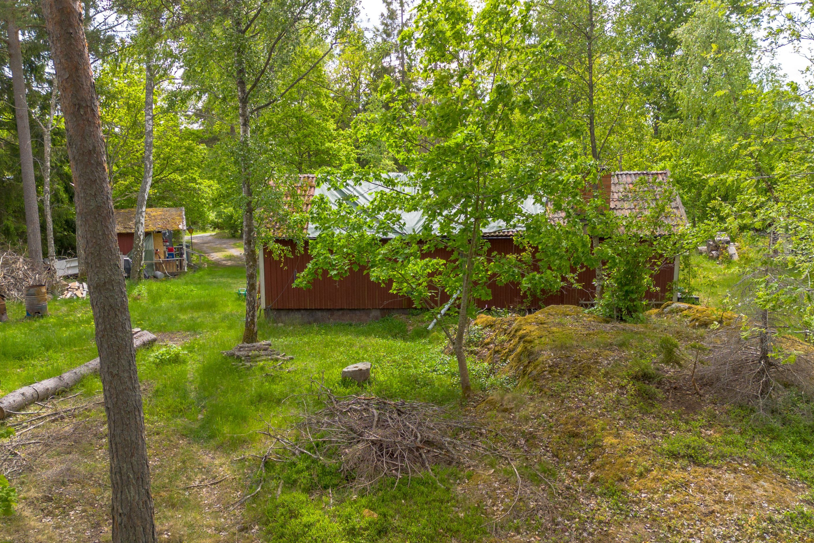 Exteriör