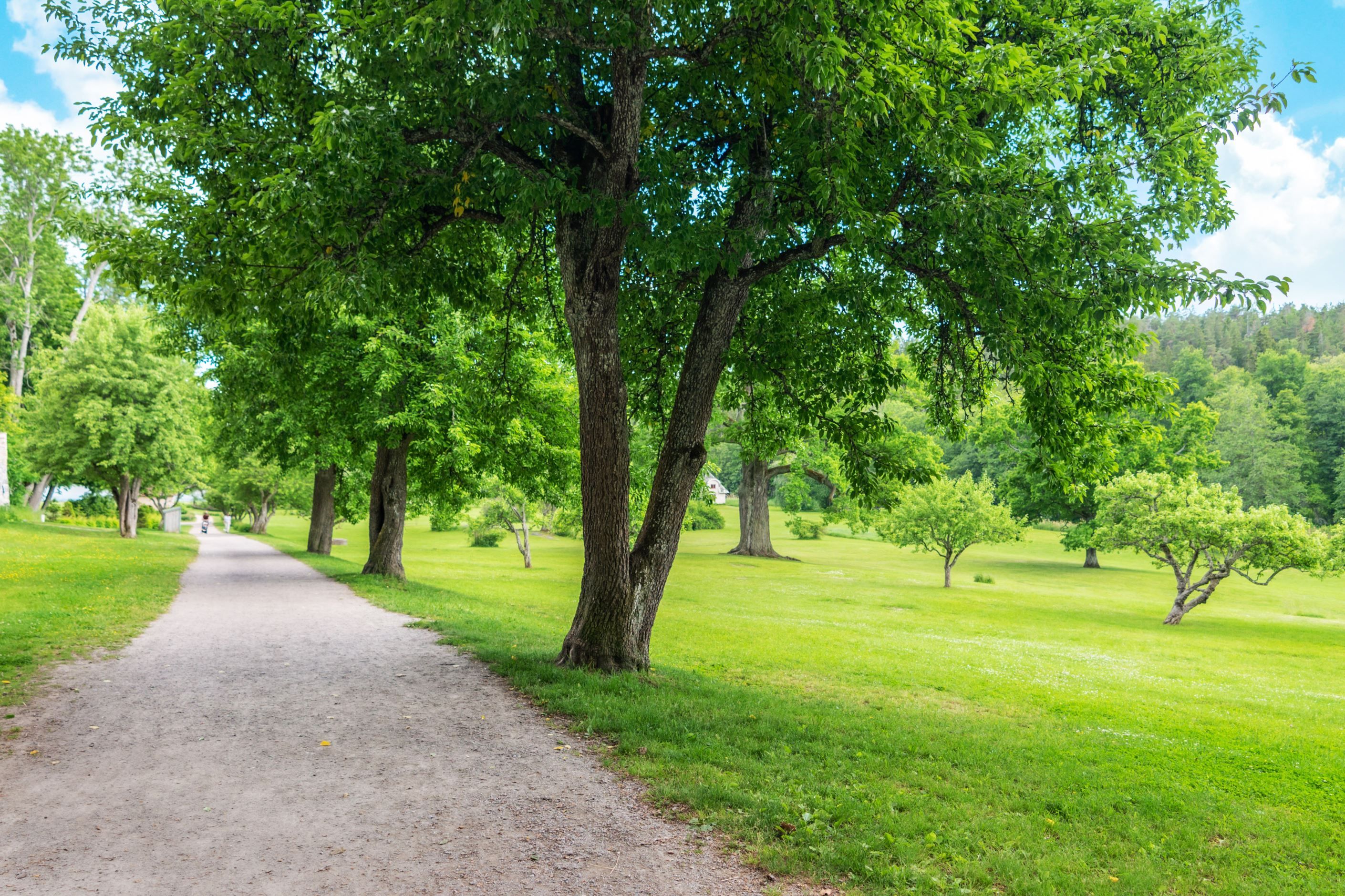 Slottsparken