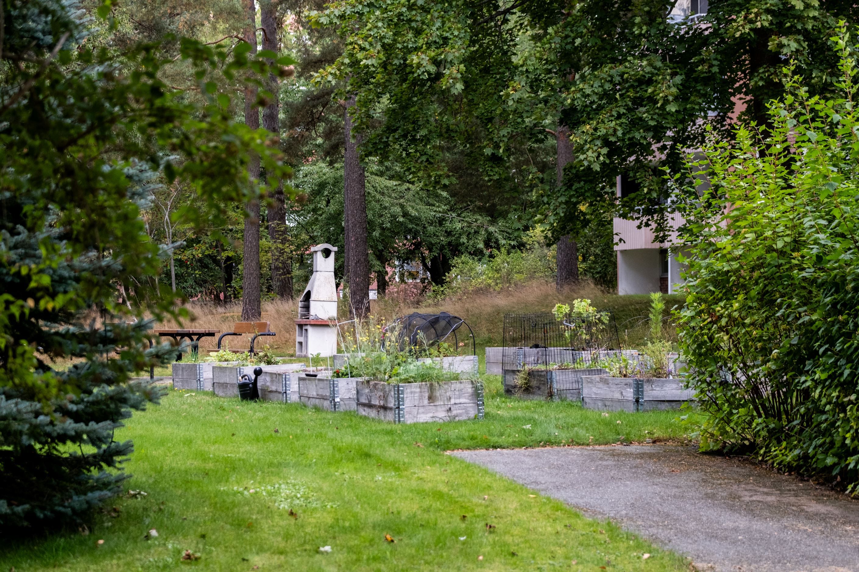 Föreningens odlingslådor