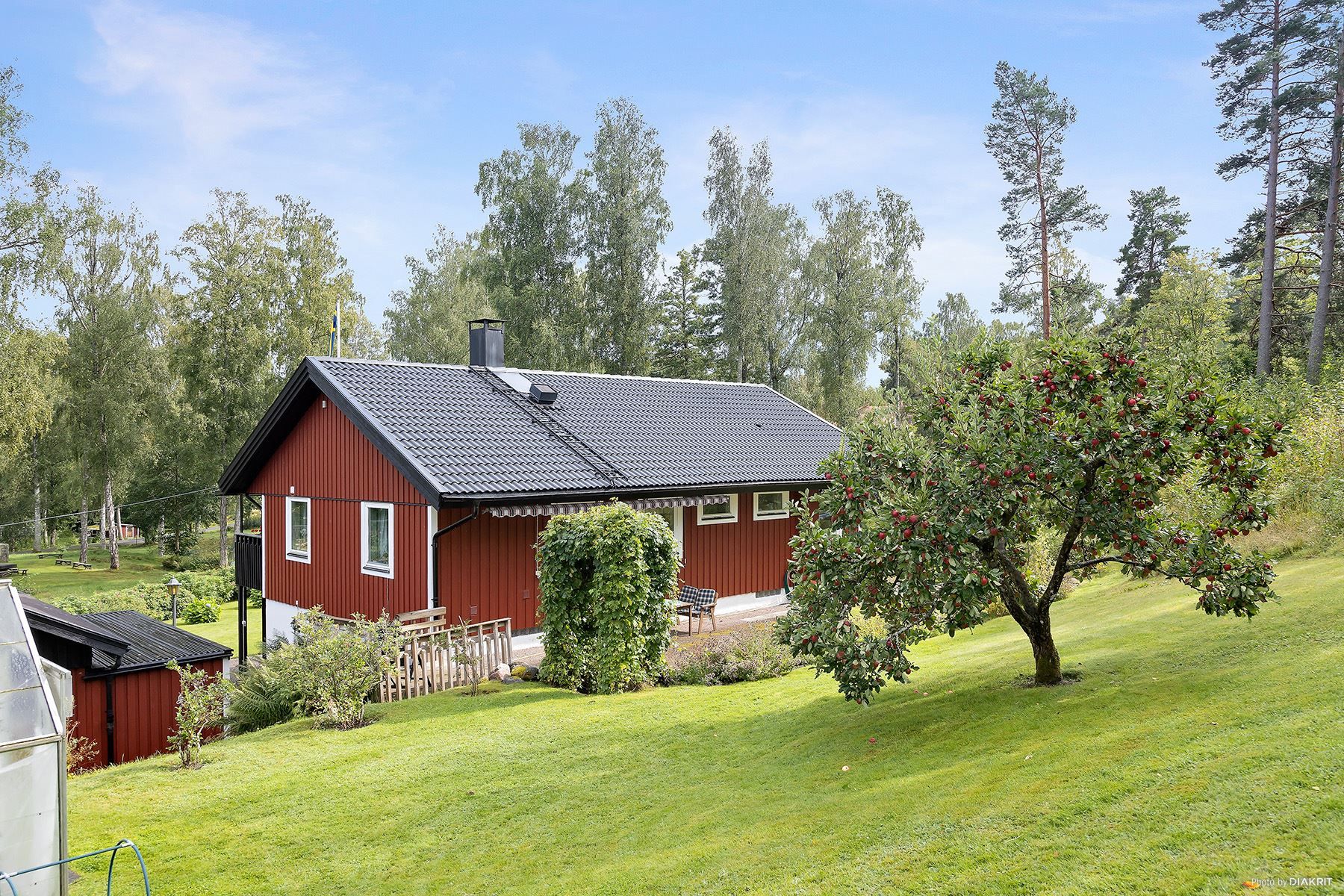Exteriör