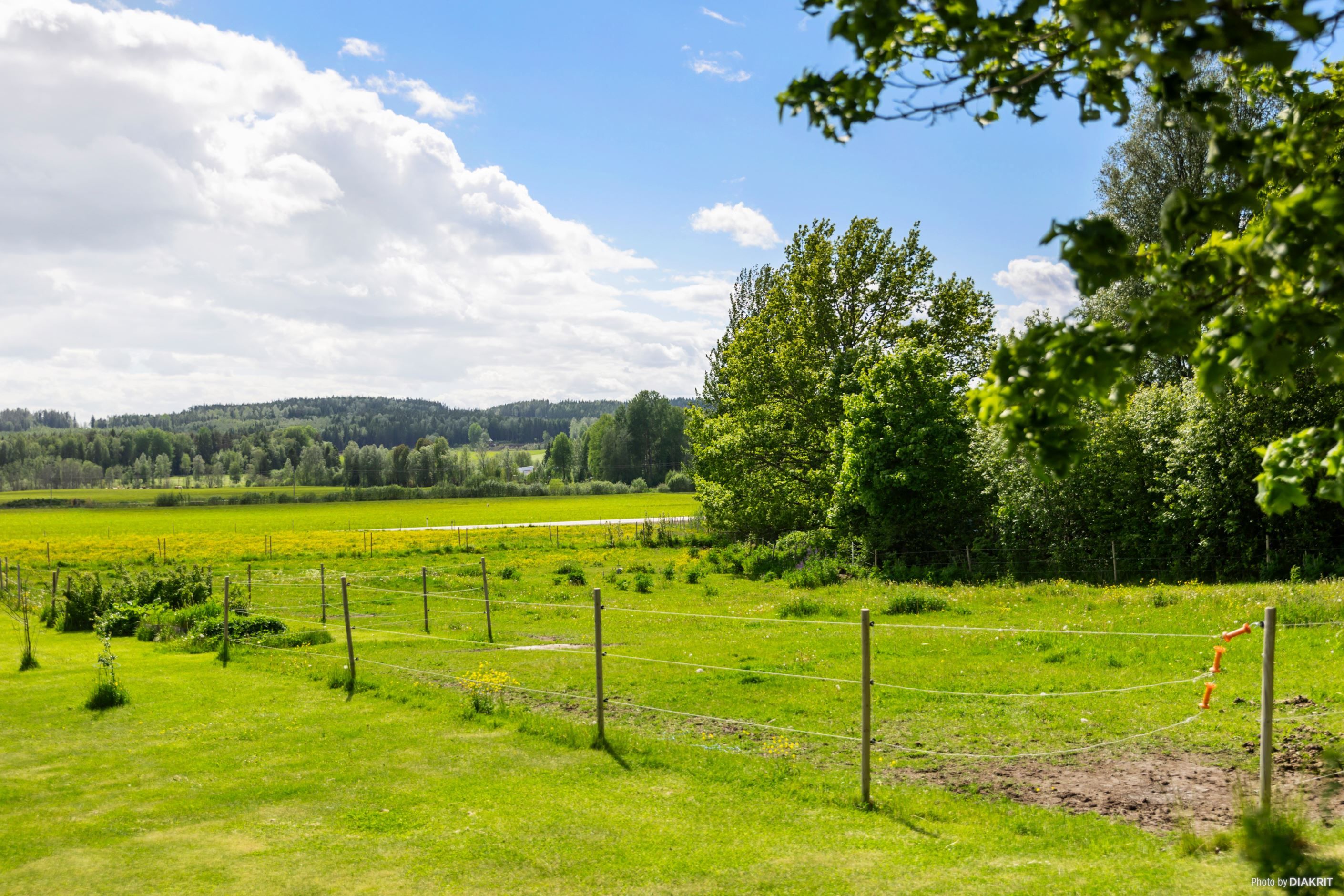 Säljaren hyr närliggande mark för både sommar- och vinterhage.