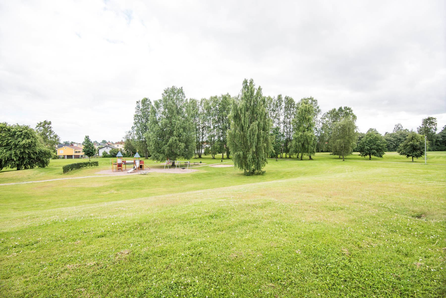 Grönområde