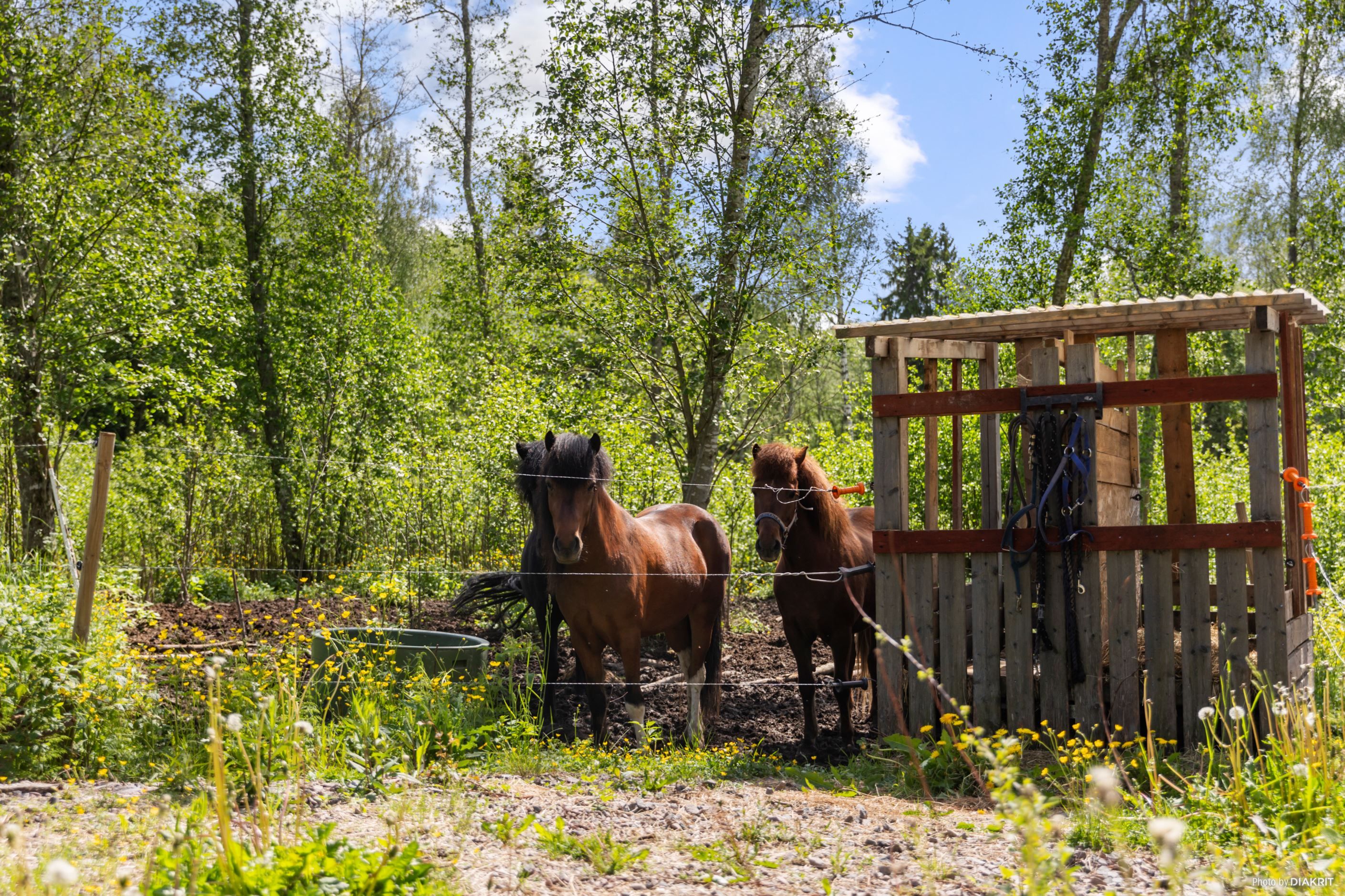 Säljaren hyr närliggande mark för både sommar- och vinterhage.