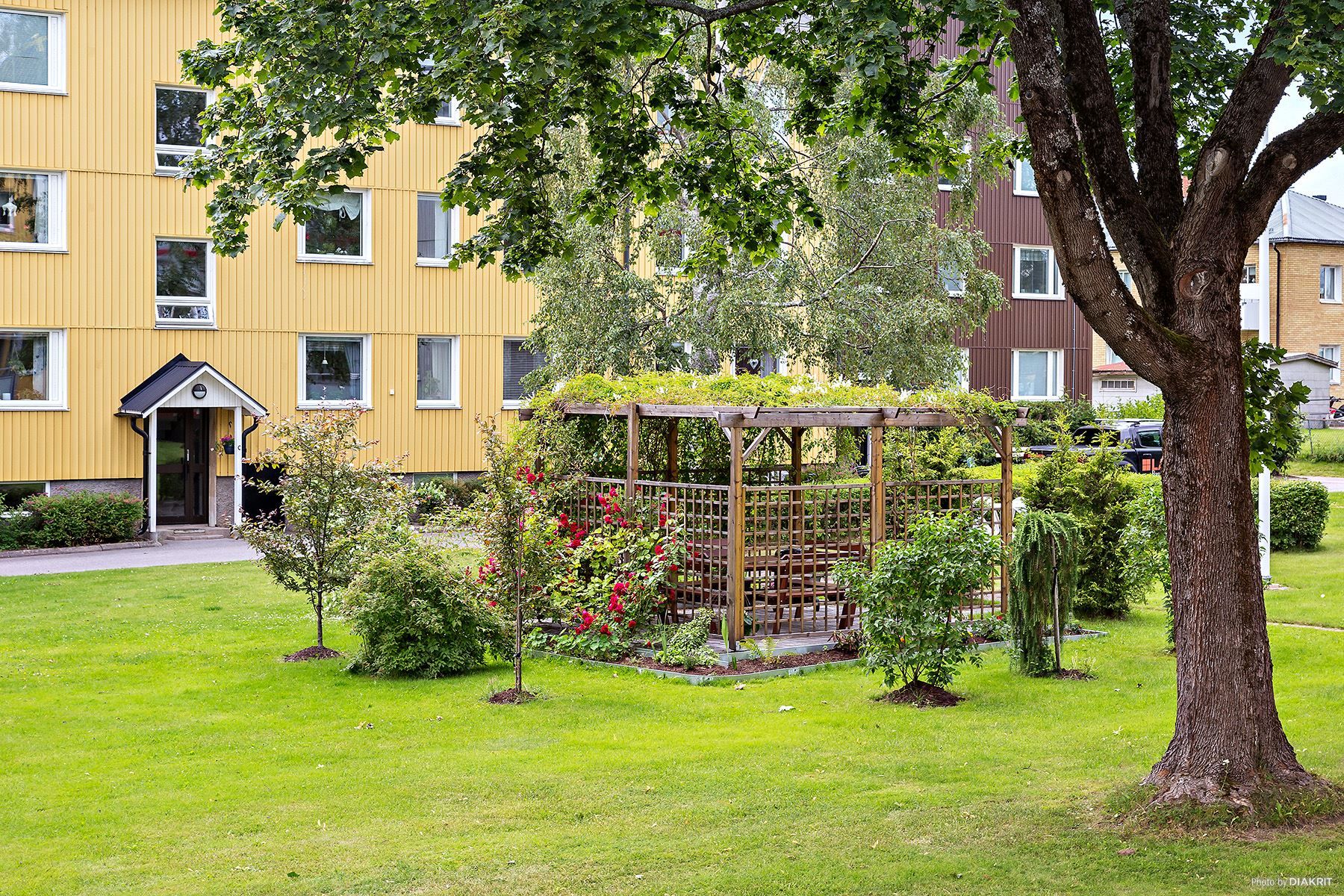 Innergården på sommaren