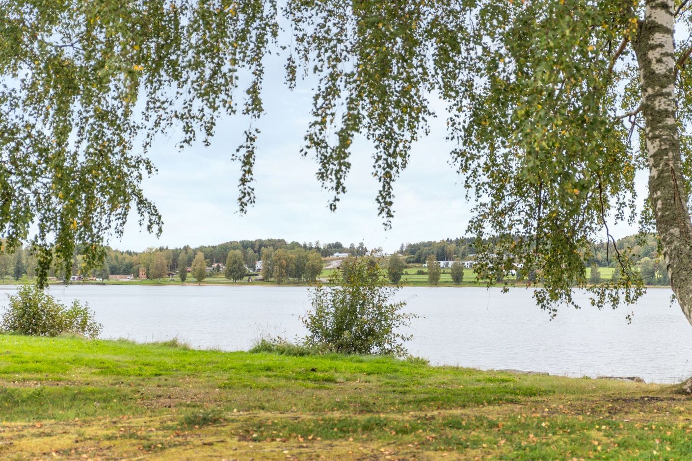 Närområdet