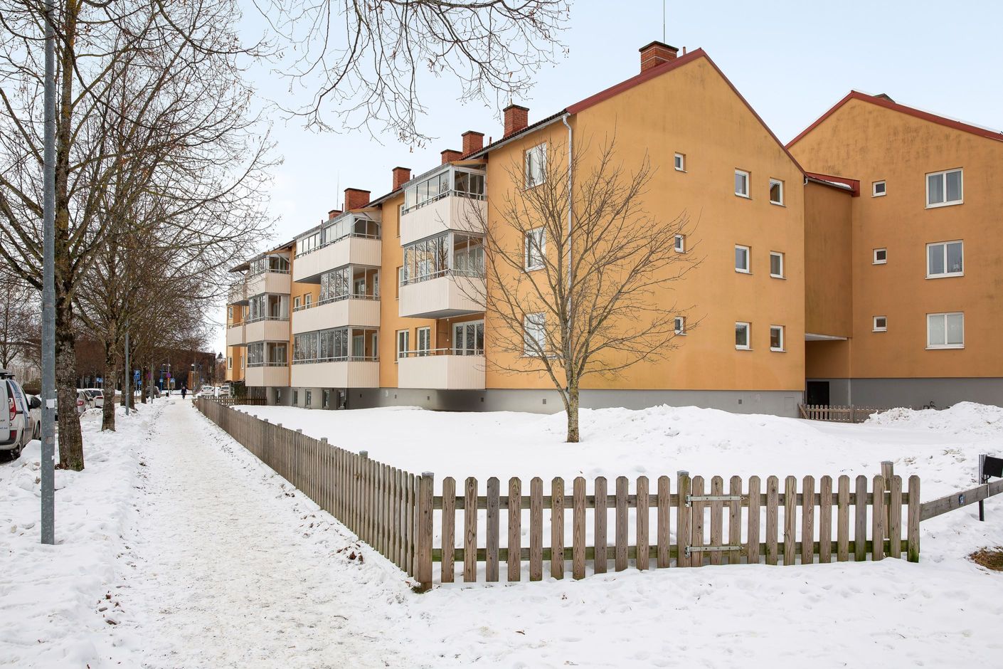 Exteriör