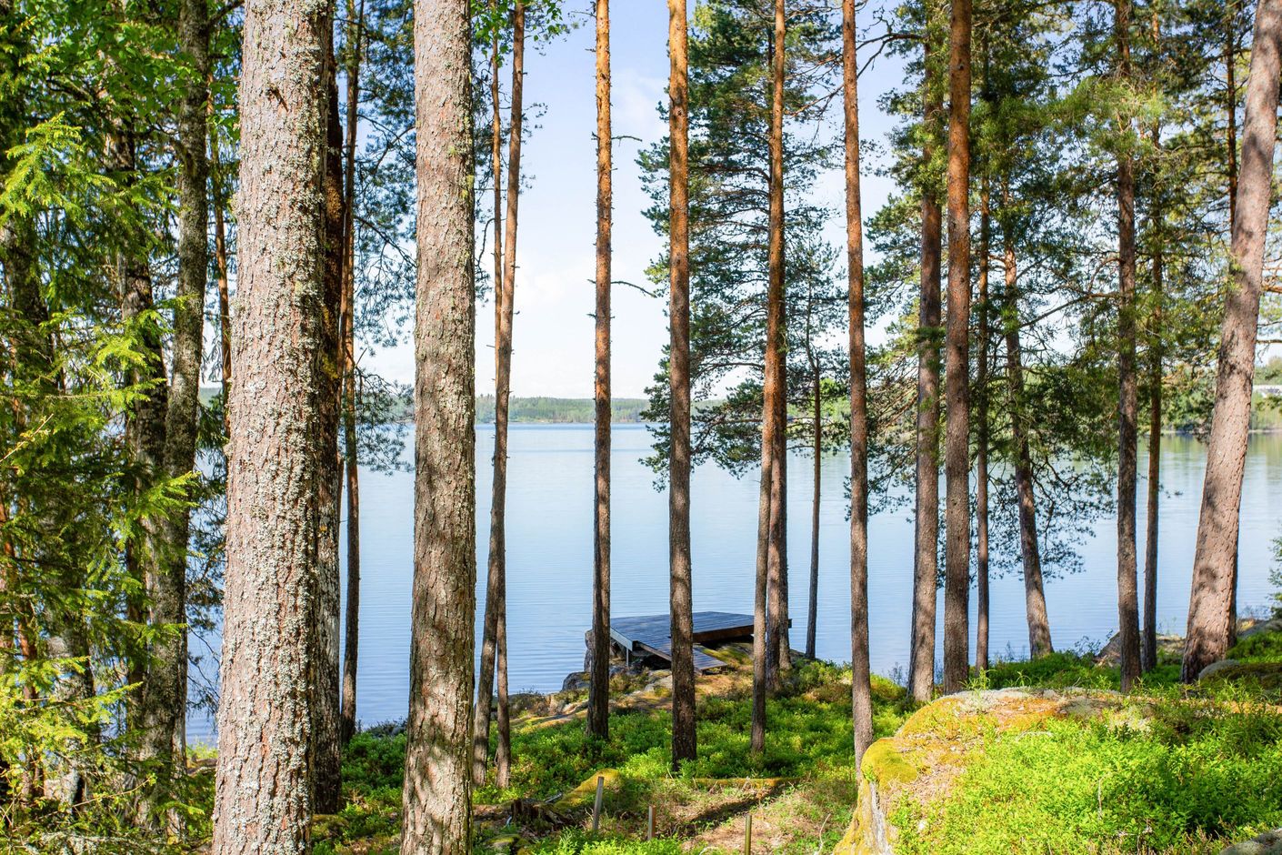 Närområde