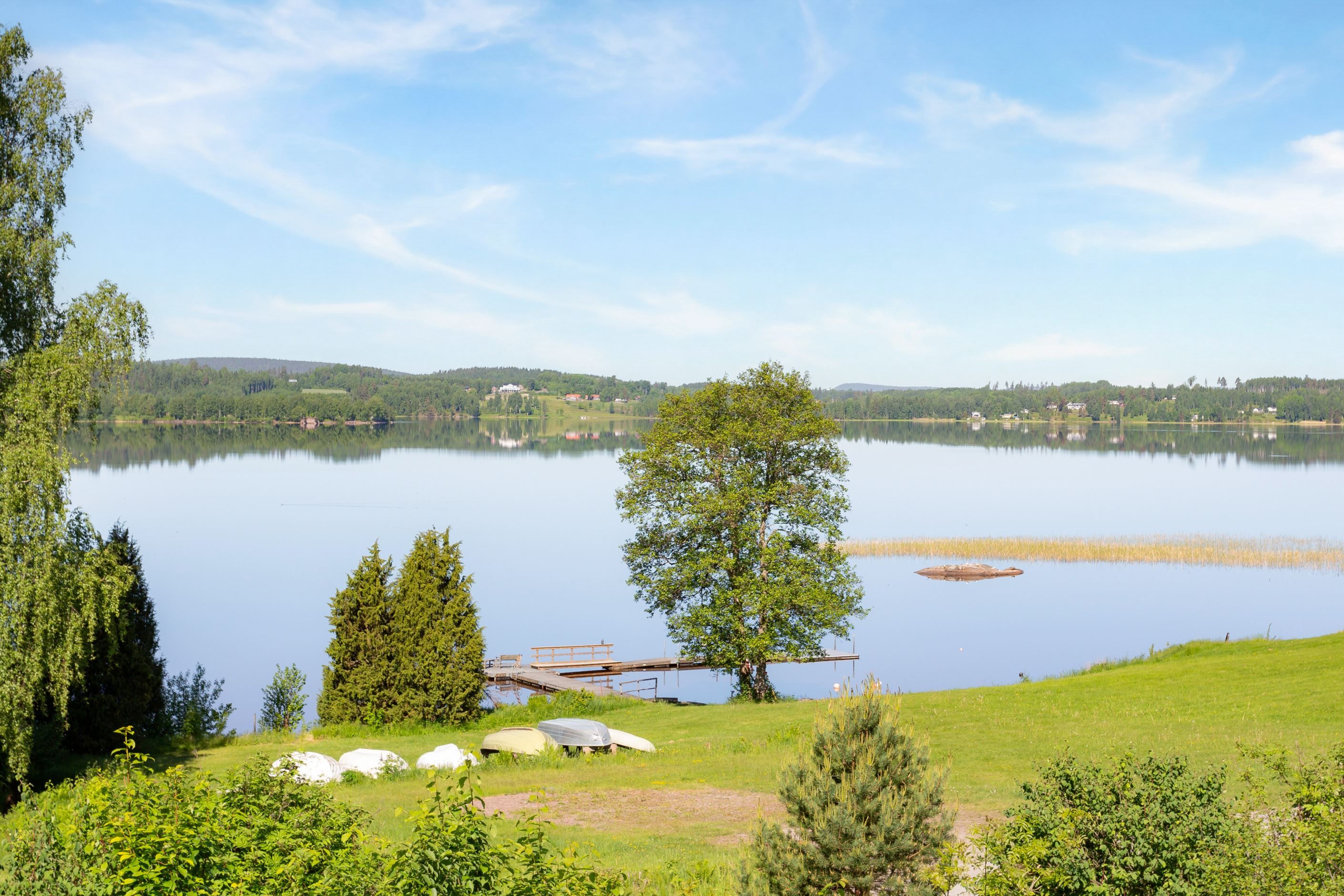 Allmänning