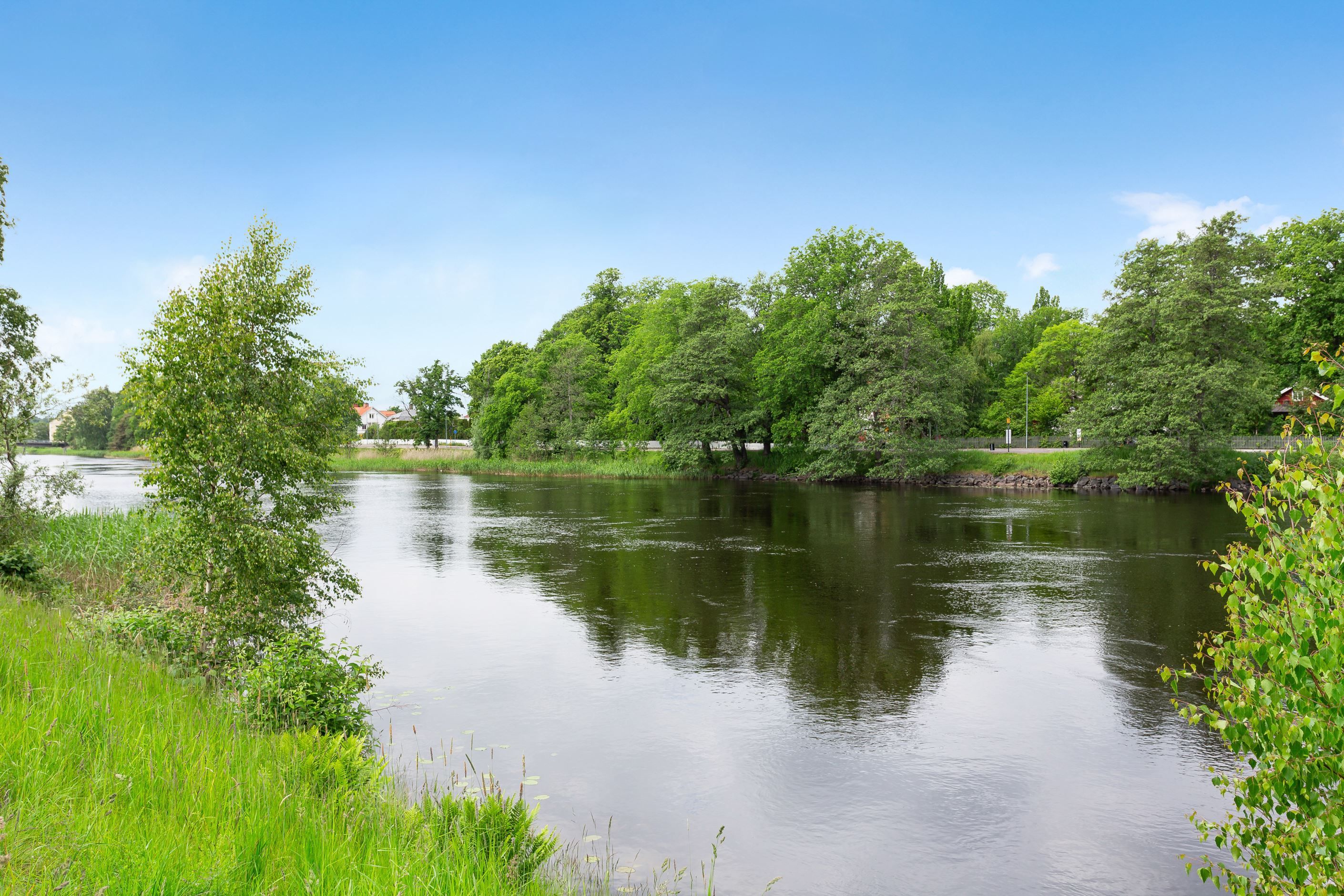 Närområde
