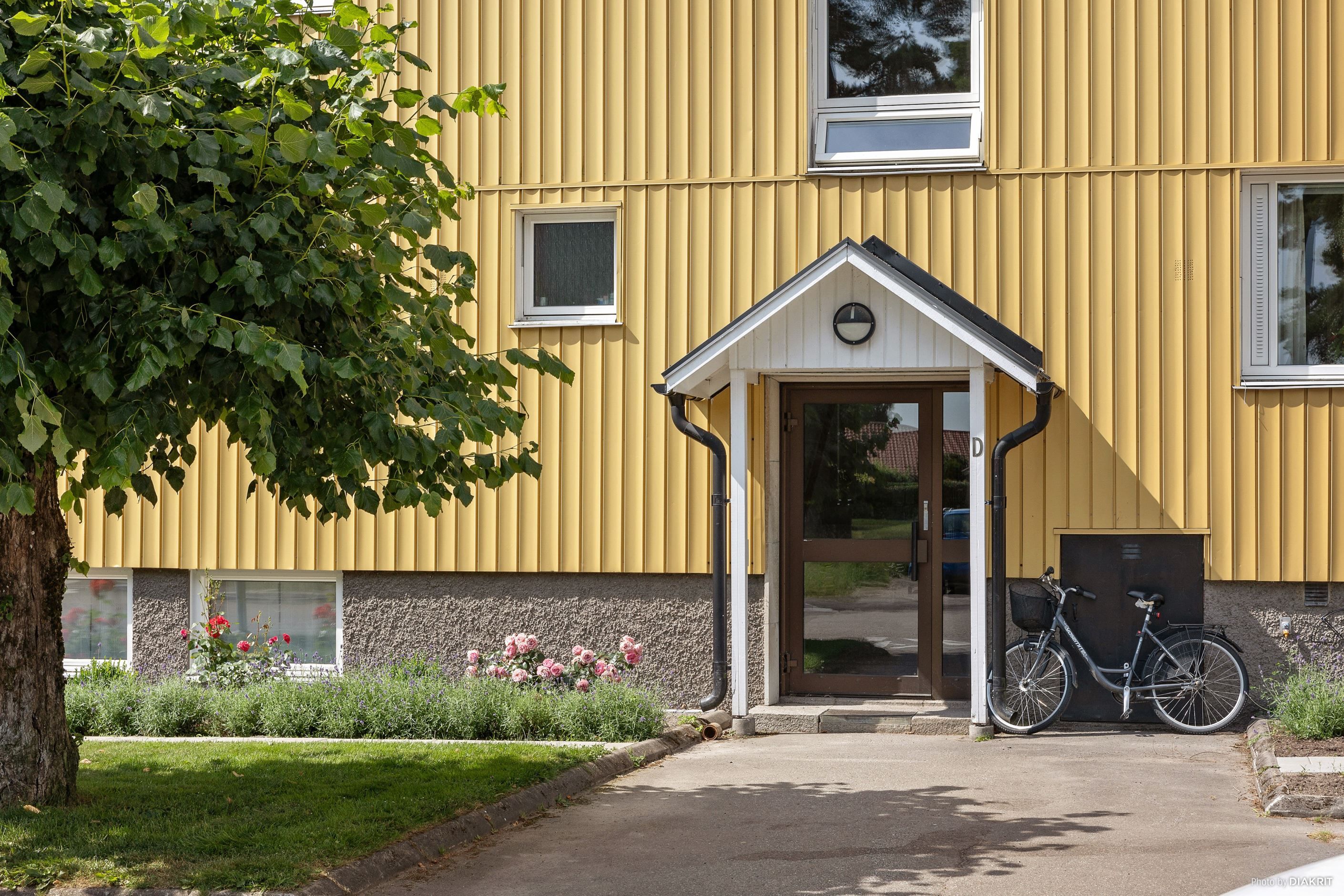 Exteriör