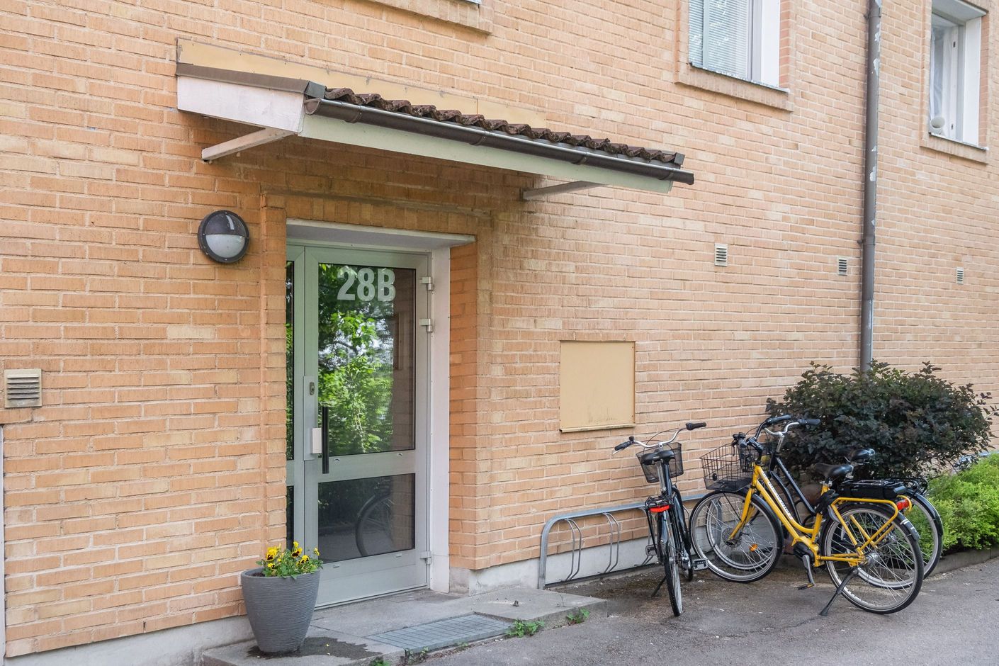 Exteriör