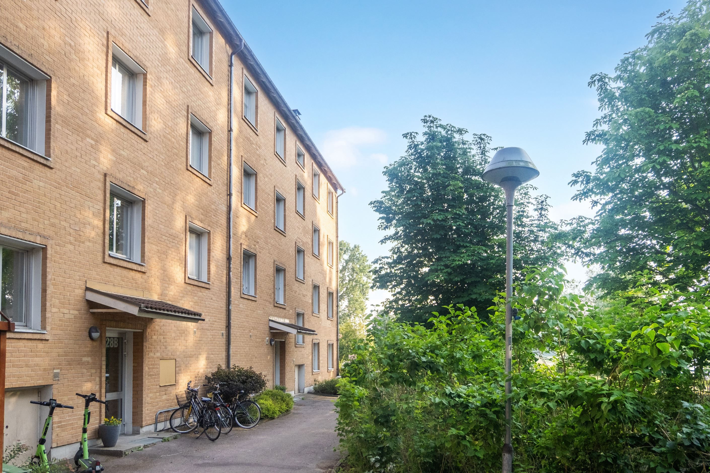 Exteriör