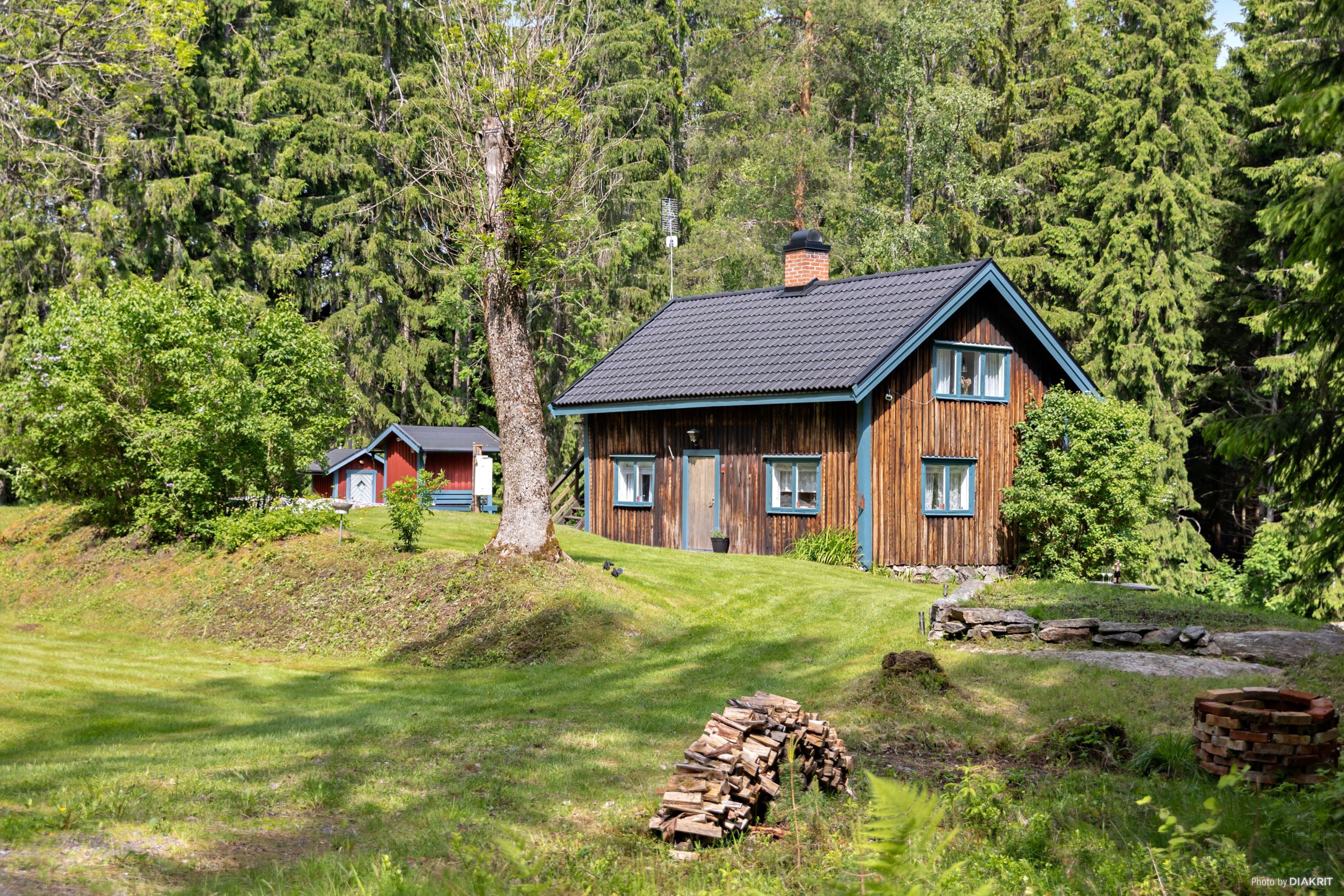 Exteriör