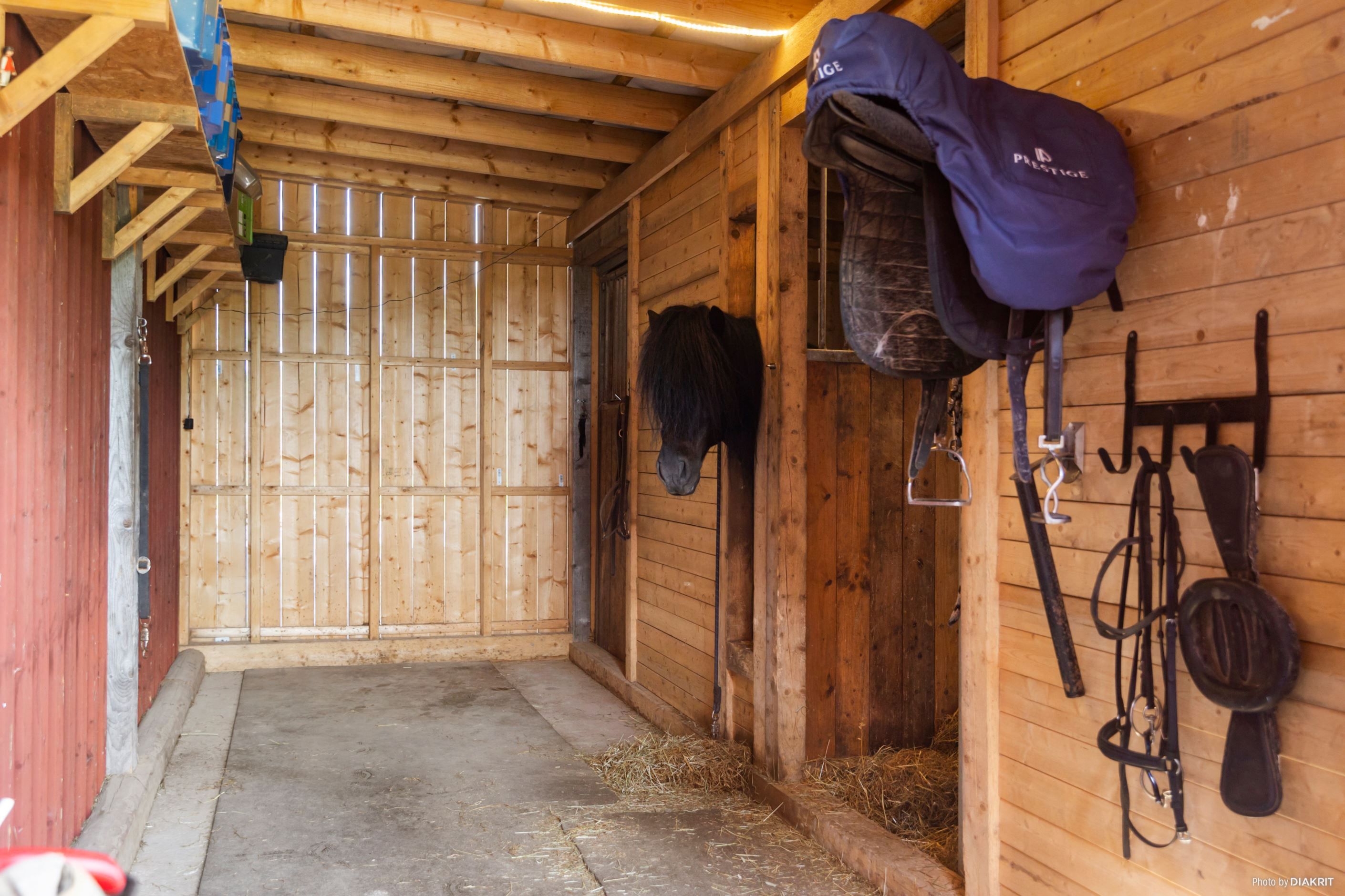 Stall med två hästboxar