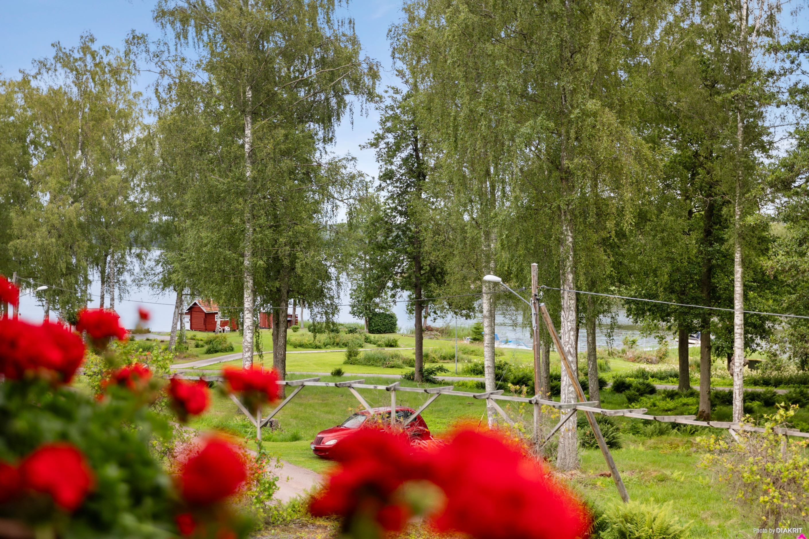 Utsikt från balkong