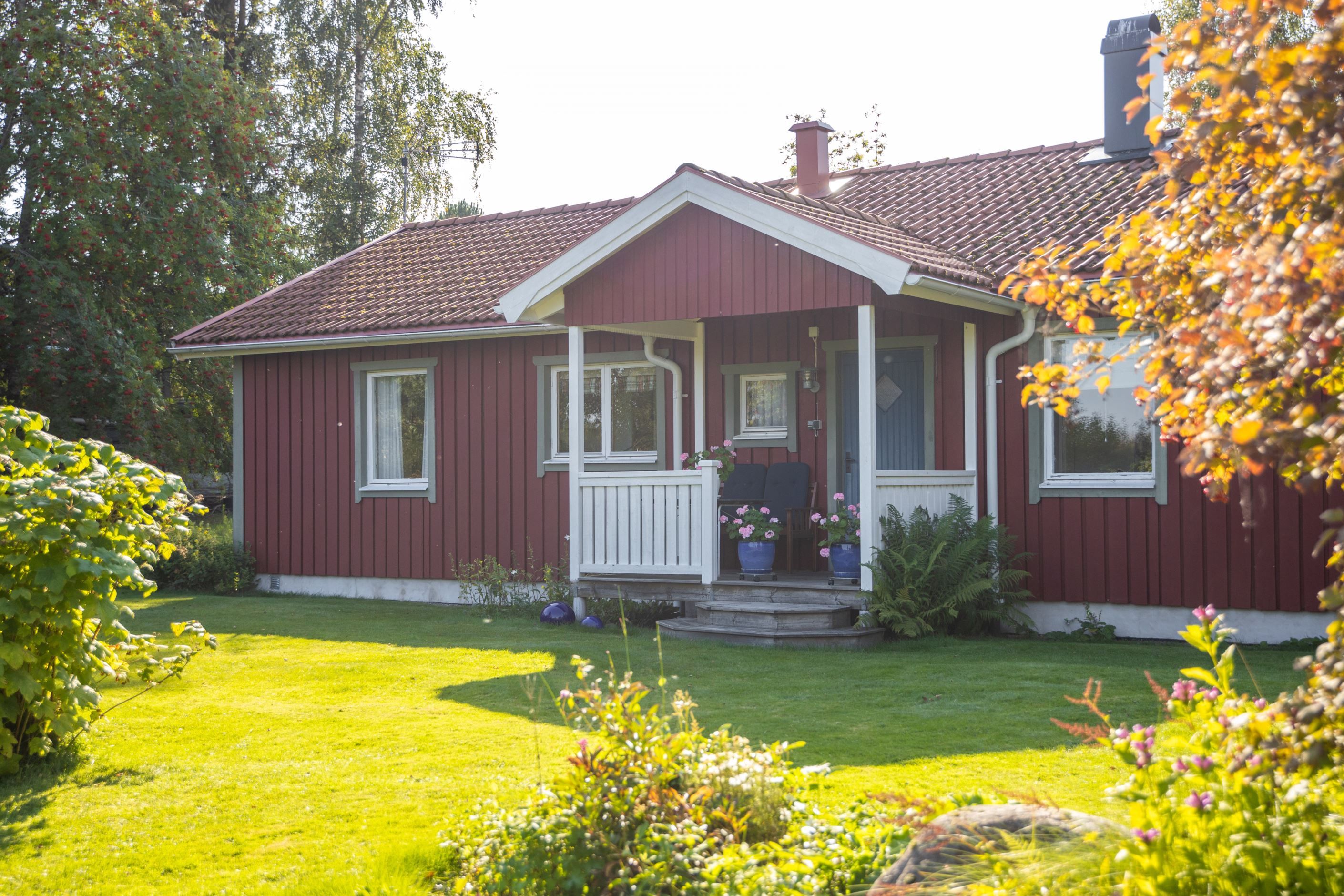 Exteriör