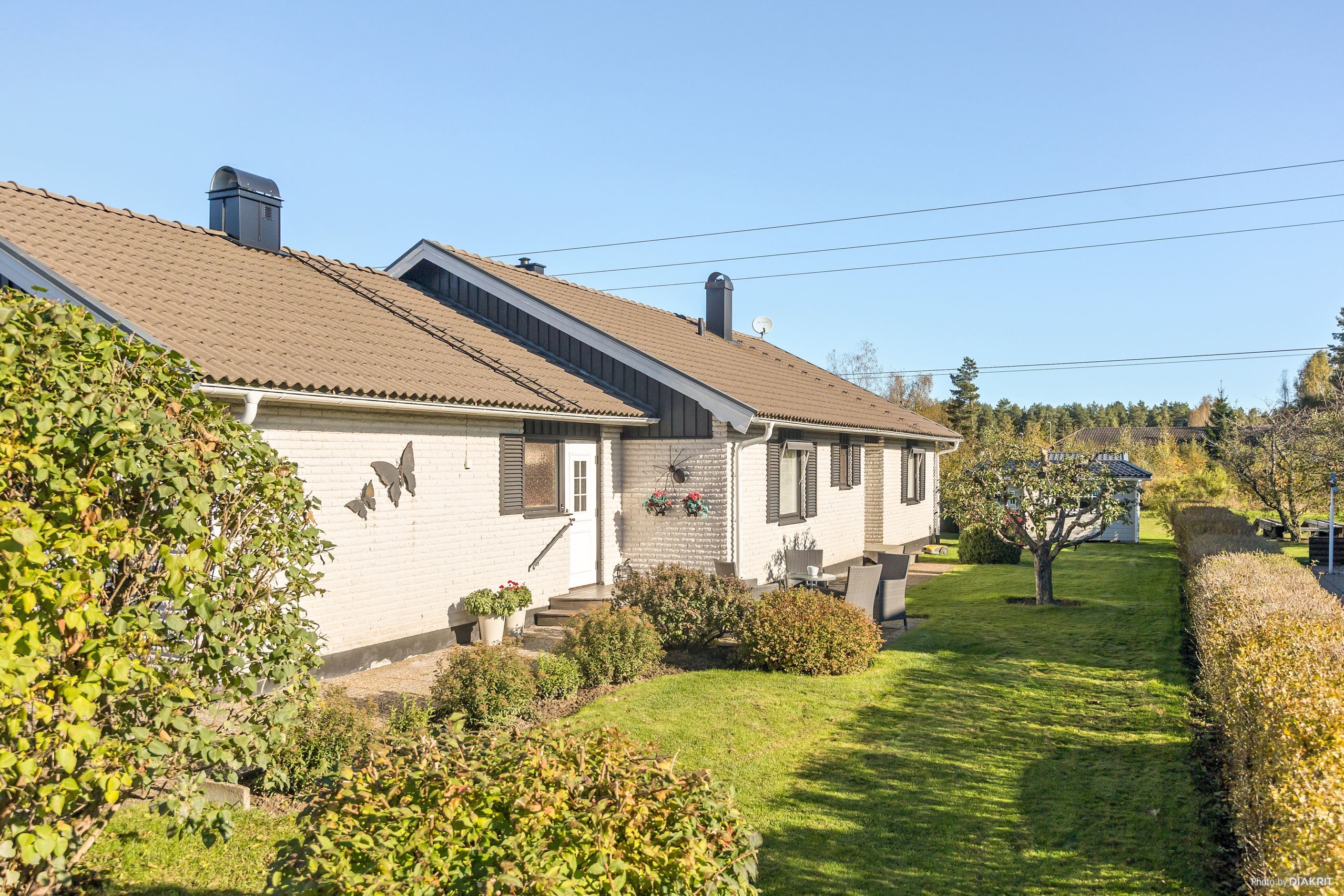 Exteriör